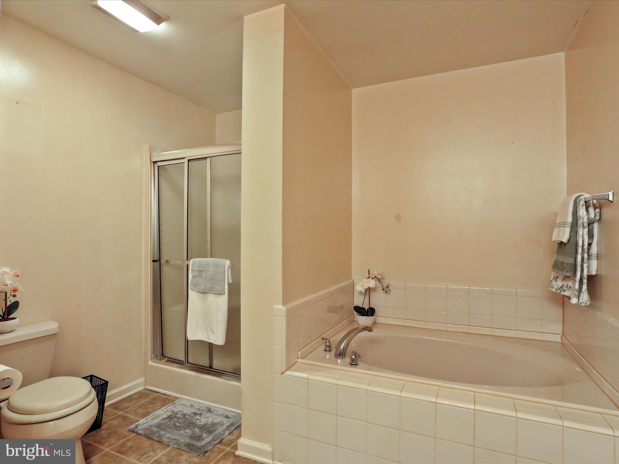 332 Webber Springs Dr