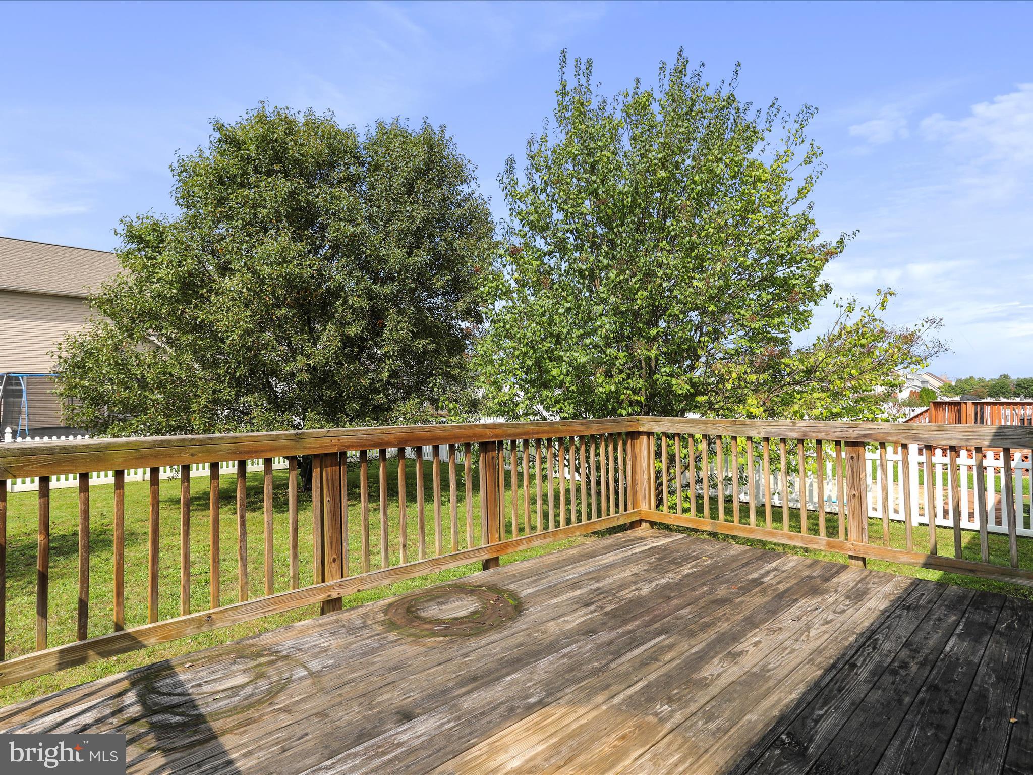 332 Webber Springs Dr