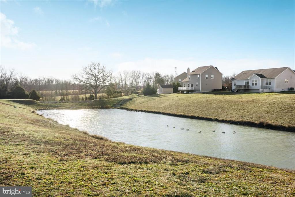52 Diamante Dr