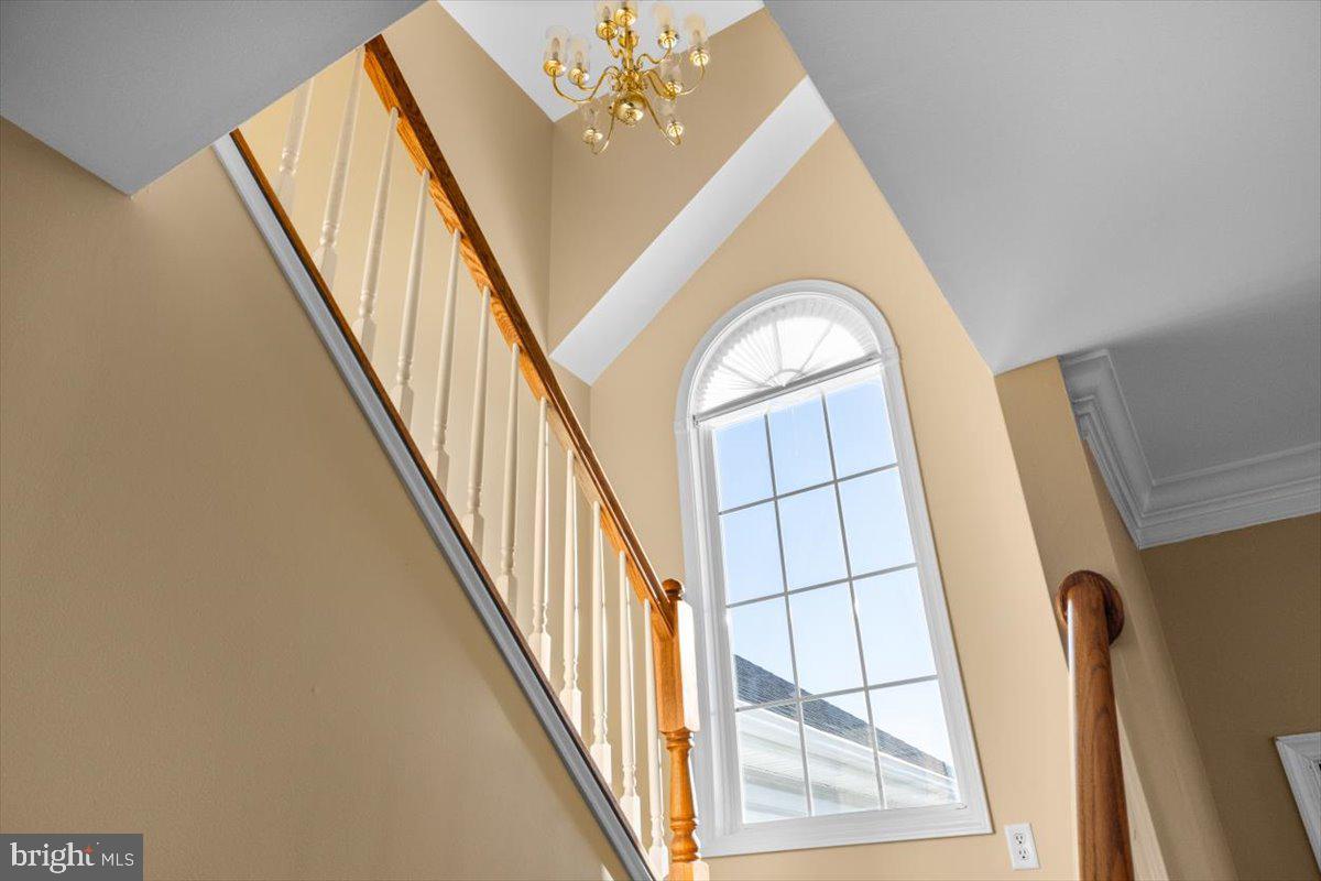 52 Diamante Dr