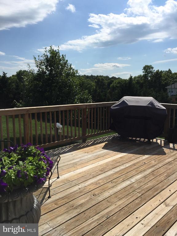 16 Spruce Hill Way