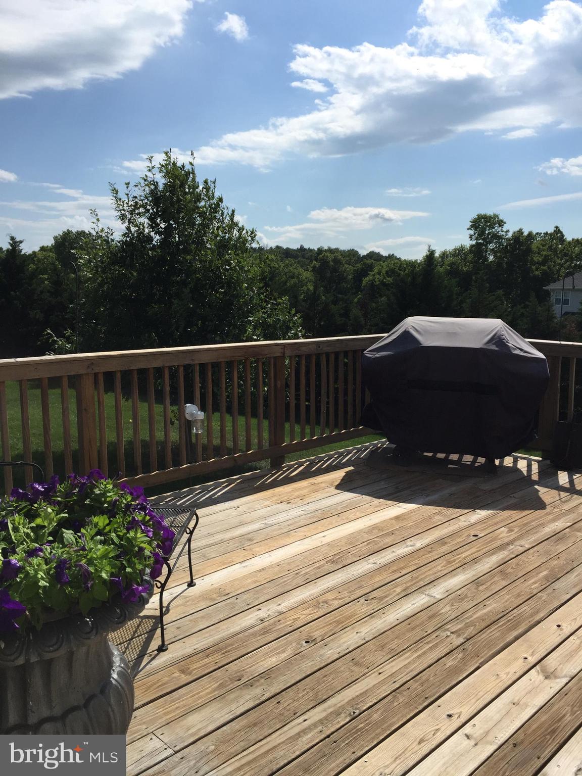 16 Spruce Hill Way