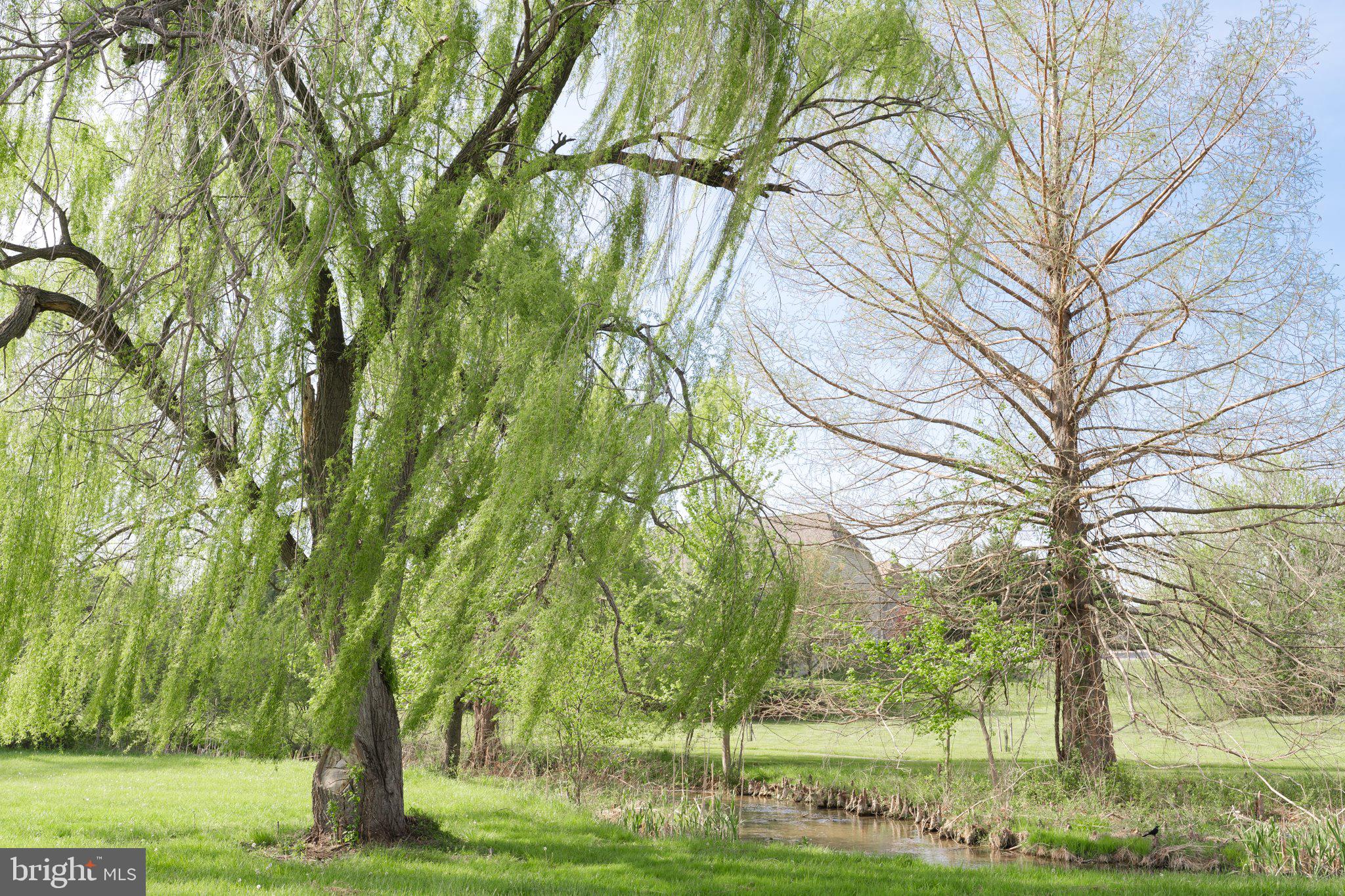 21 ELLA WASHINGTON CT.