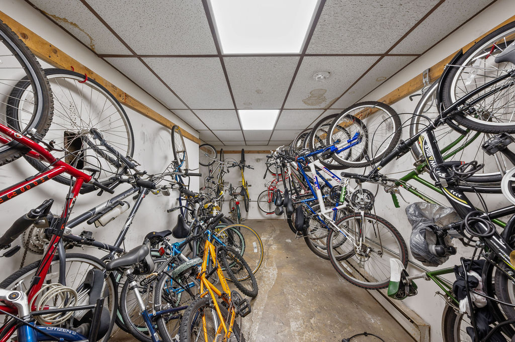 850 Des Plaines Avenue Unit: 309