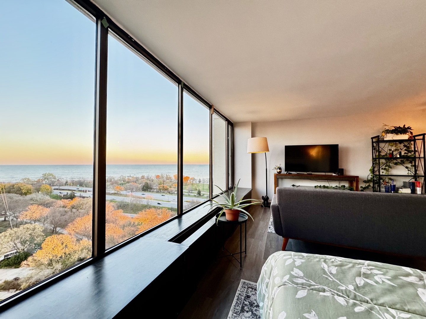 5455 N Sheridan Road Unit: 1707