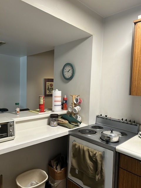 260 E chestnut Street Unit: 1106