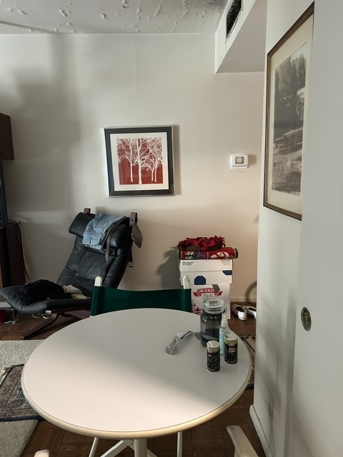 260 E chestnut Street Unit: 1106