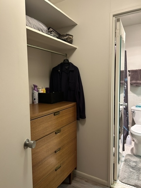 260 E chestnut Street Unit: 1106