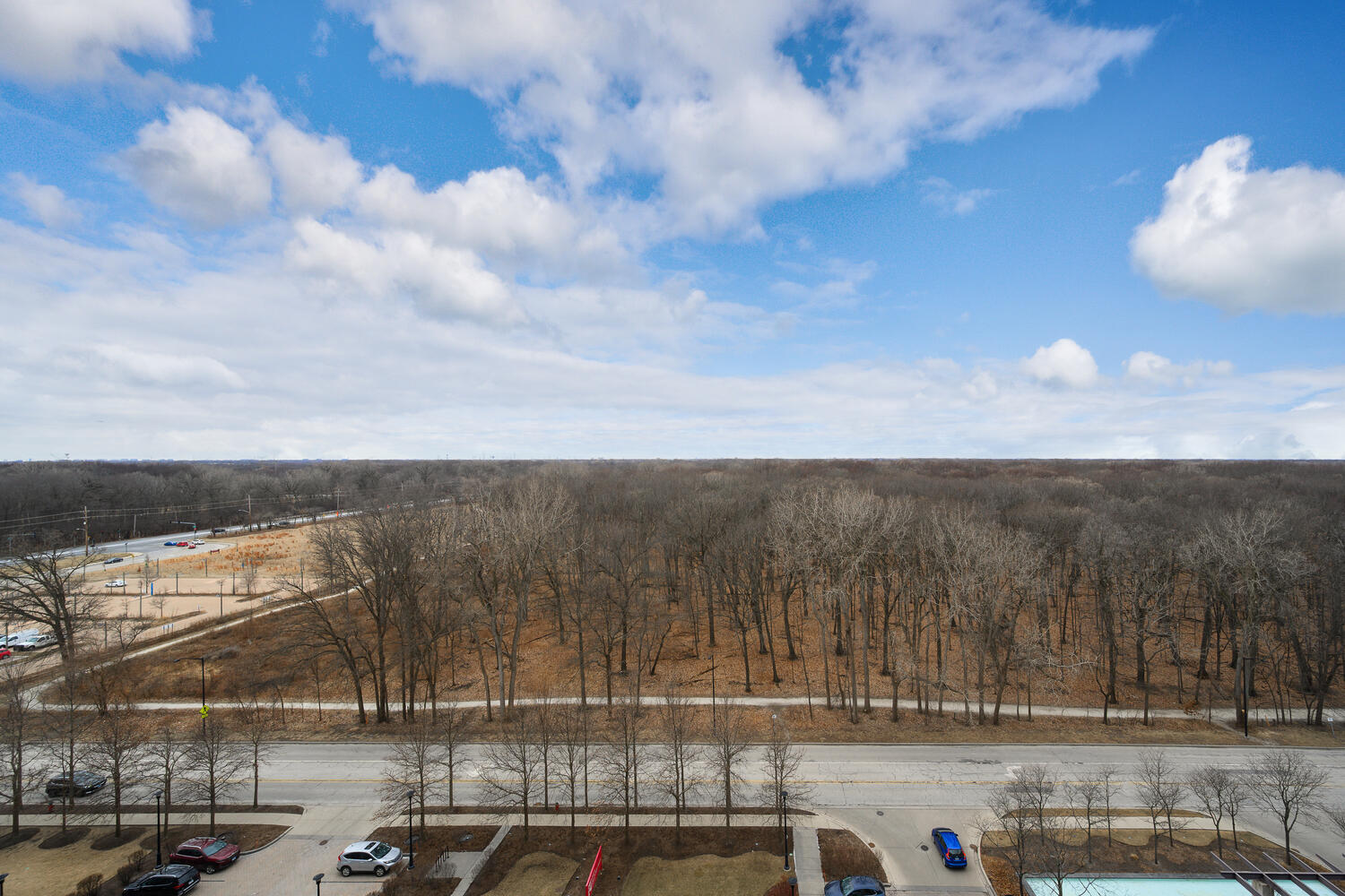 9655 Woods Drive Unit: 1102