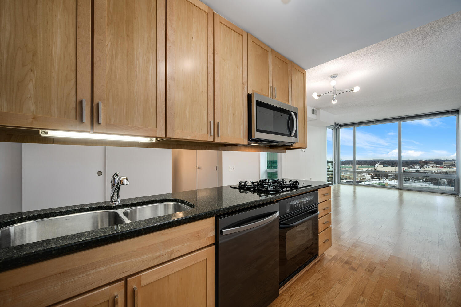 9655 Woods Drive Unit: 1809