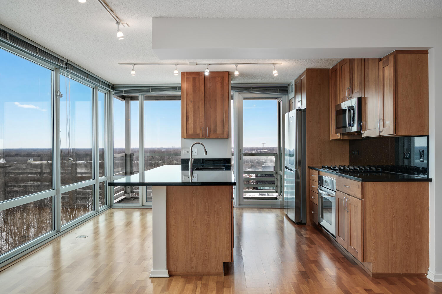 9725 Woods Drive Unit: 1502