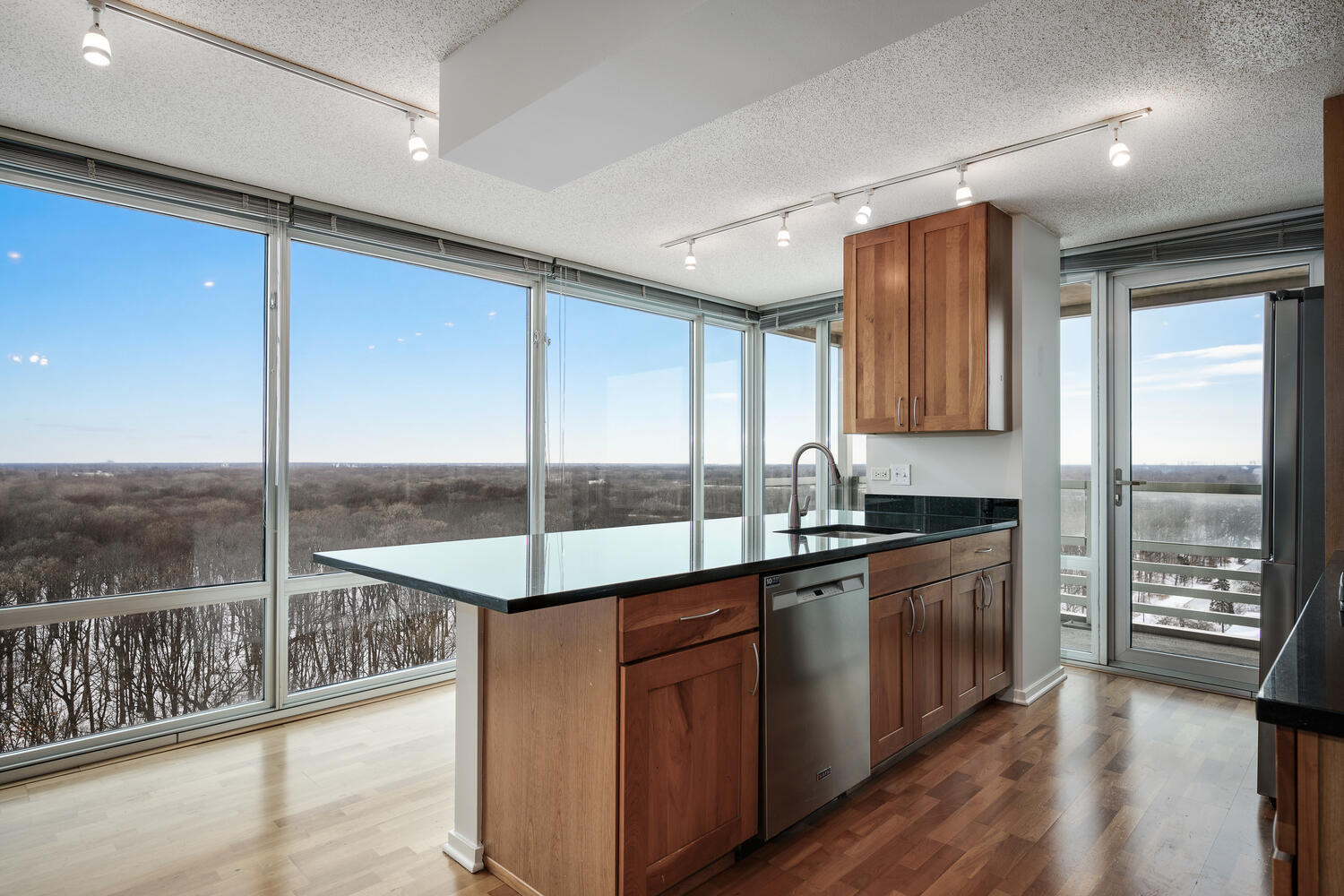 9725 Woods Drive Unit: 1502