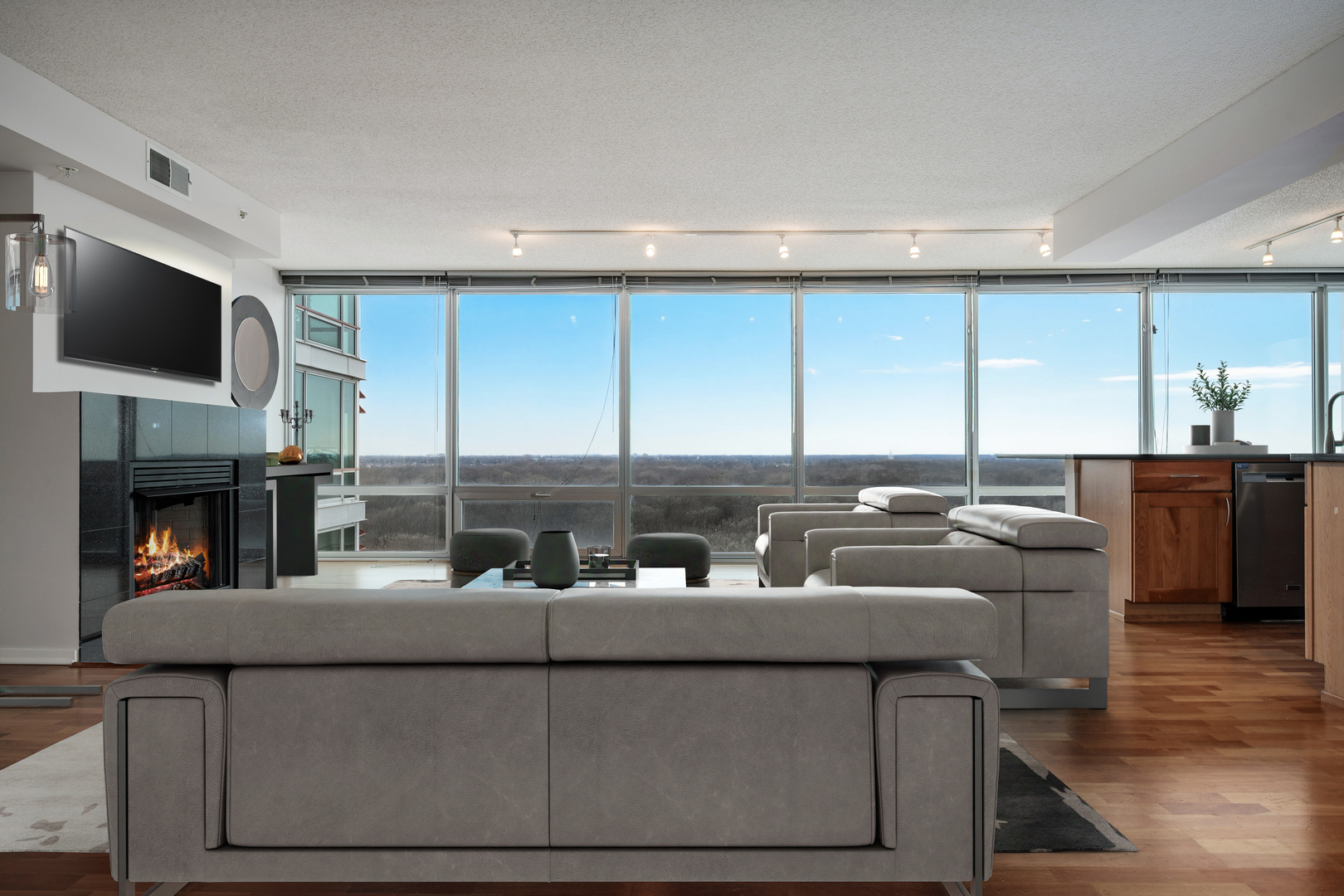 9725 Woods Drive Unit: 1502