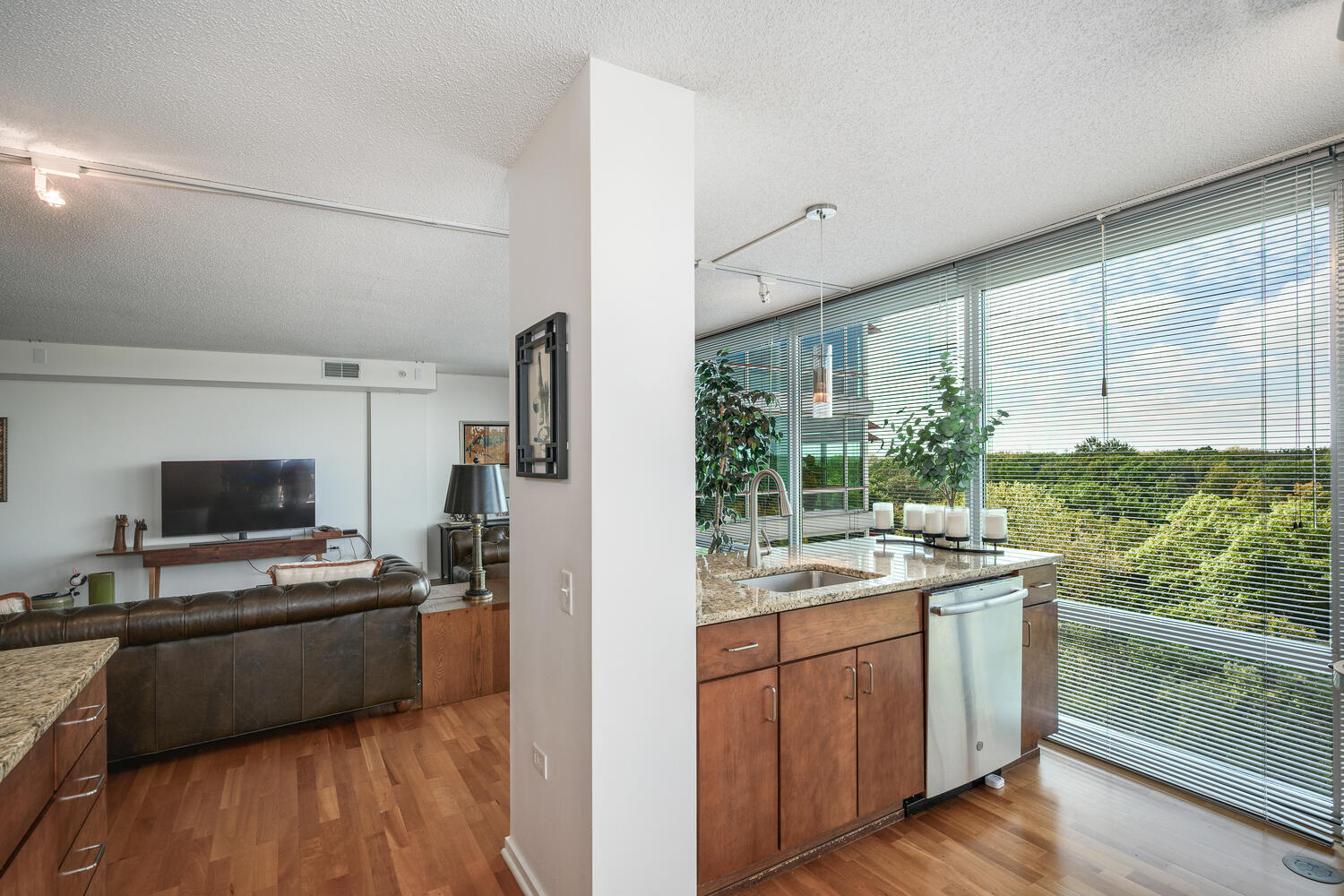 9725 Woods Drive Unit: 1002