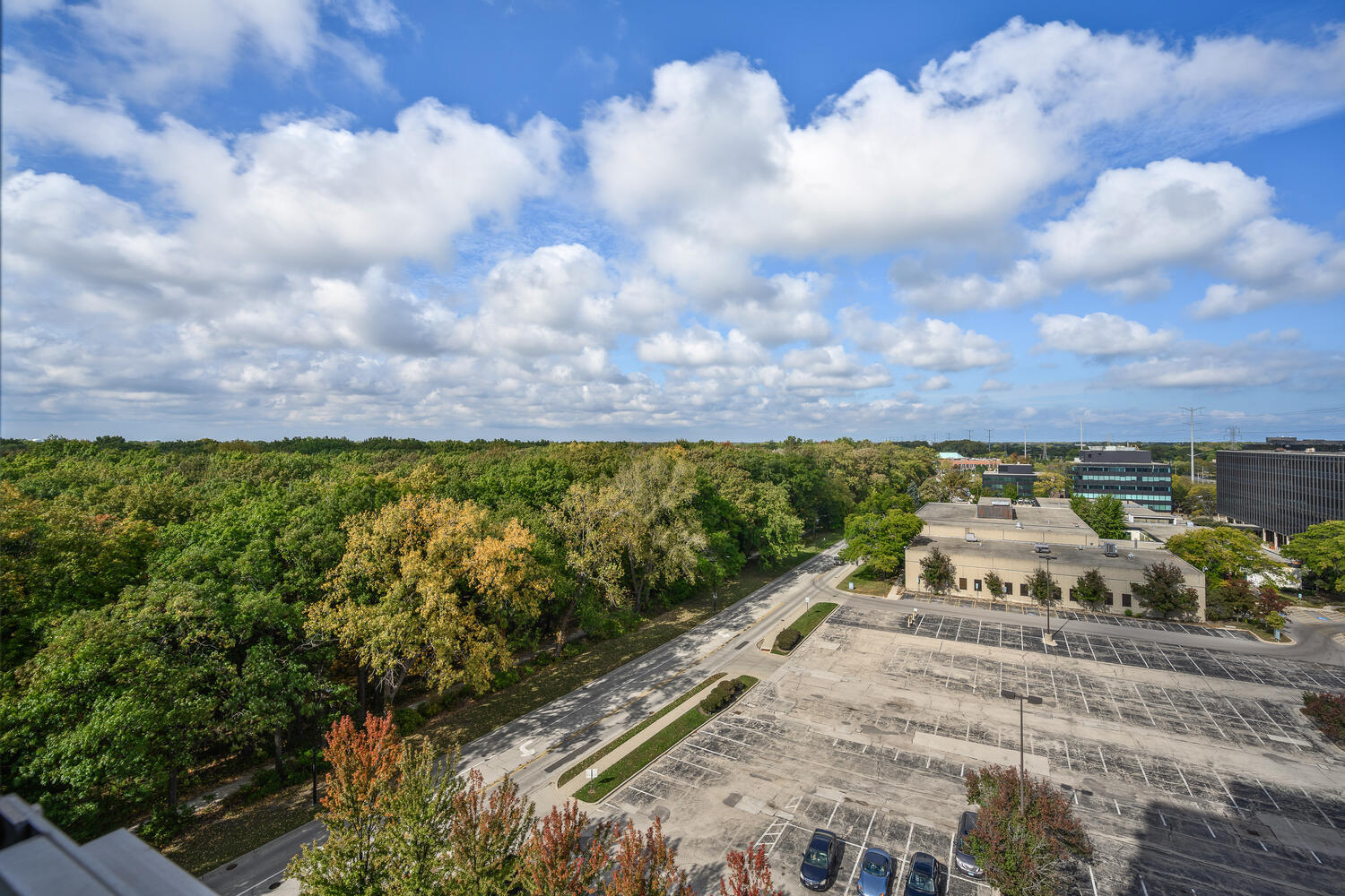 9725 Woods Drive Unit: 1002