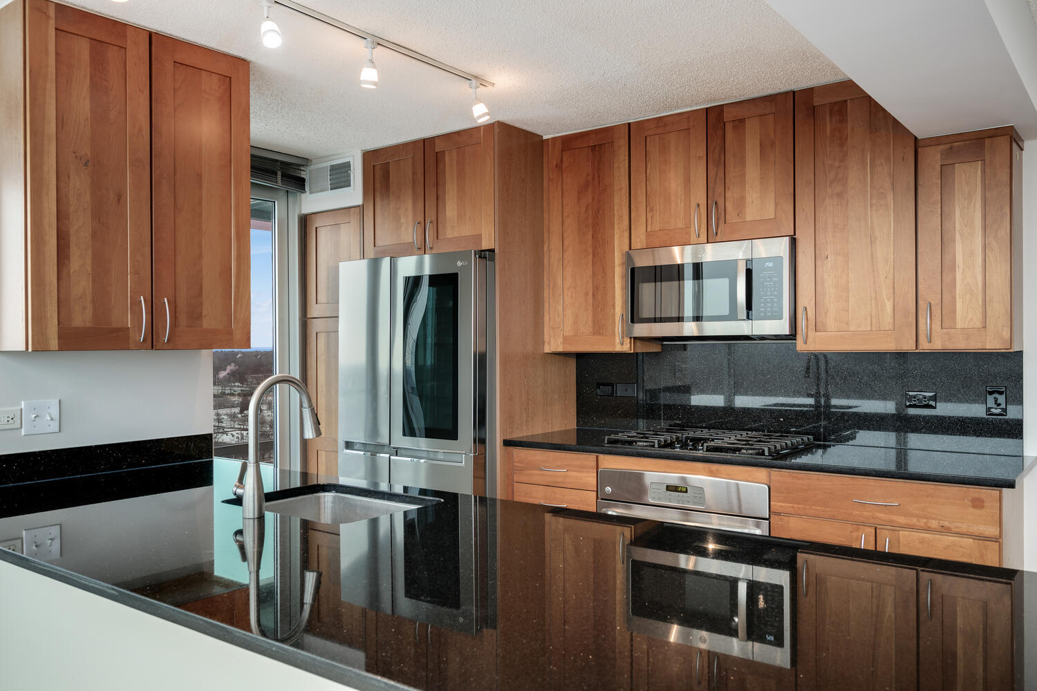 9725 Woods Drive Unit: 1502