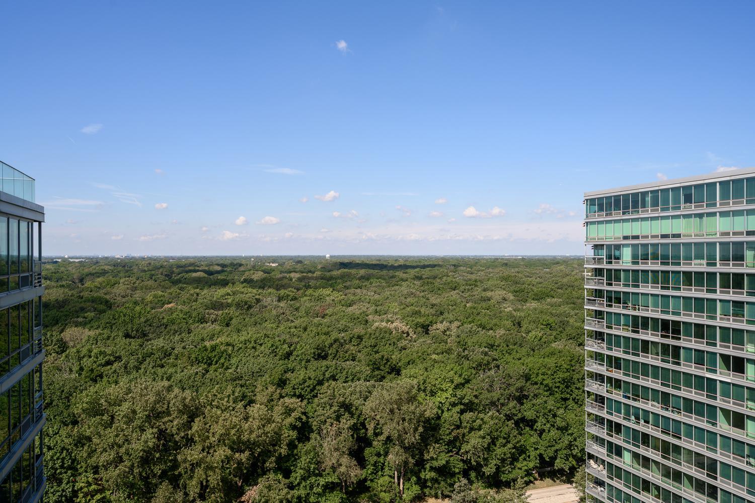 9715 Woods Drive Unit: 1806