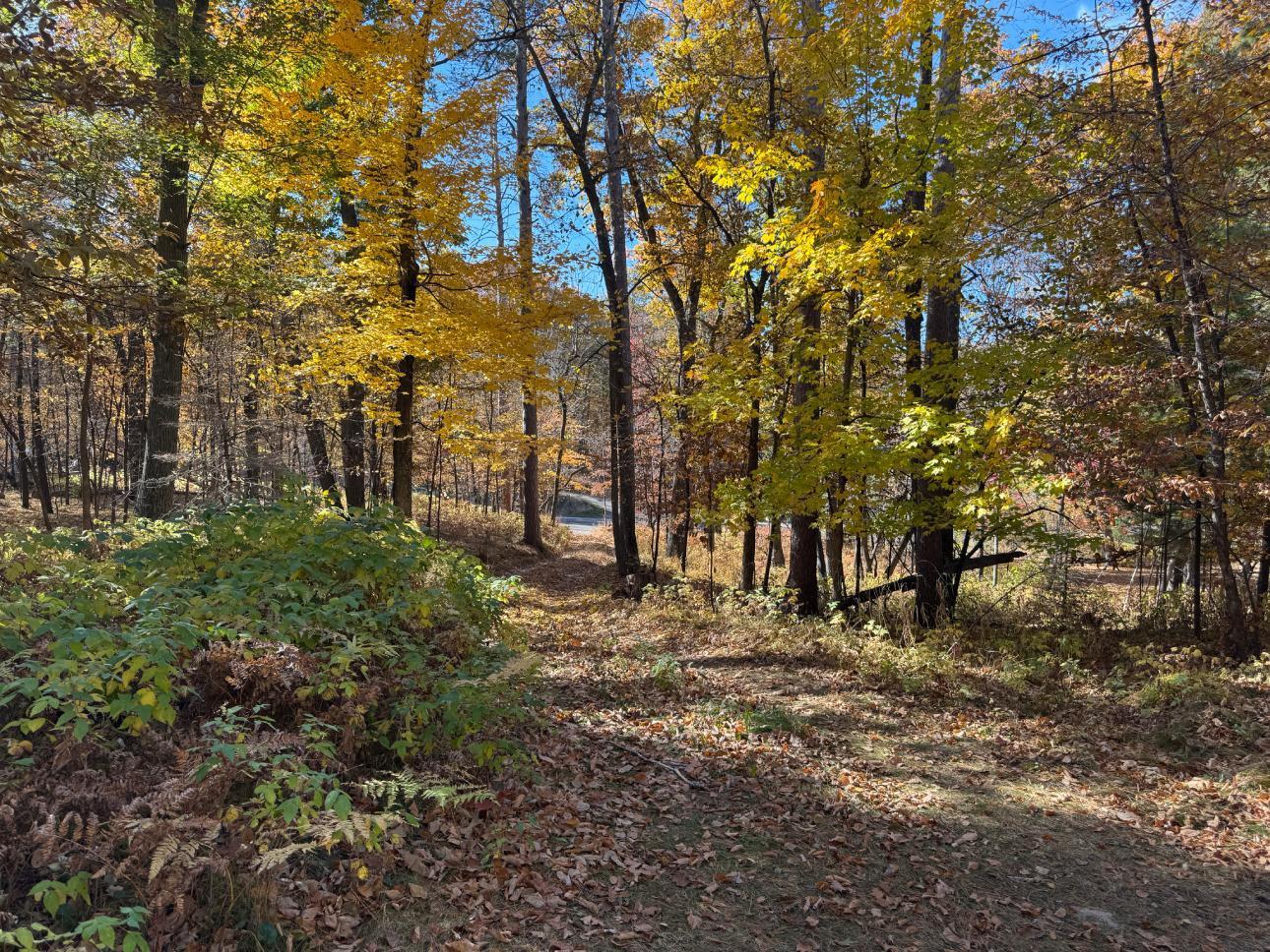 7401 Ojibwa Road
