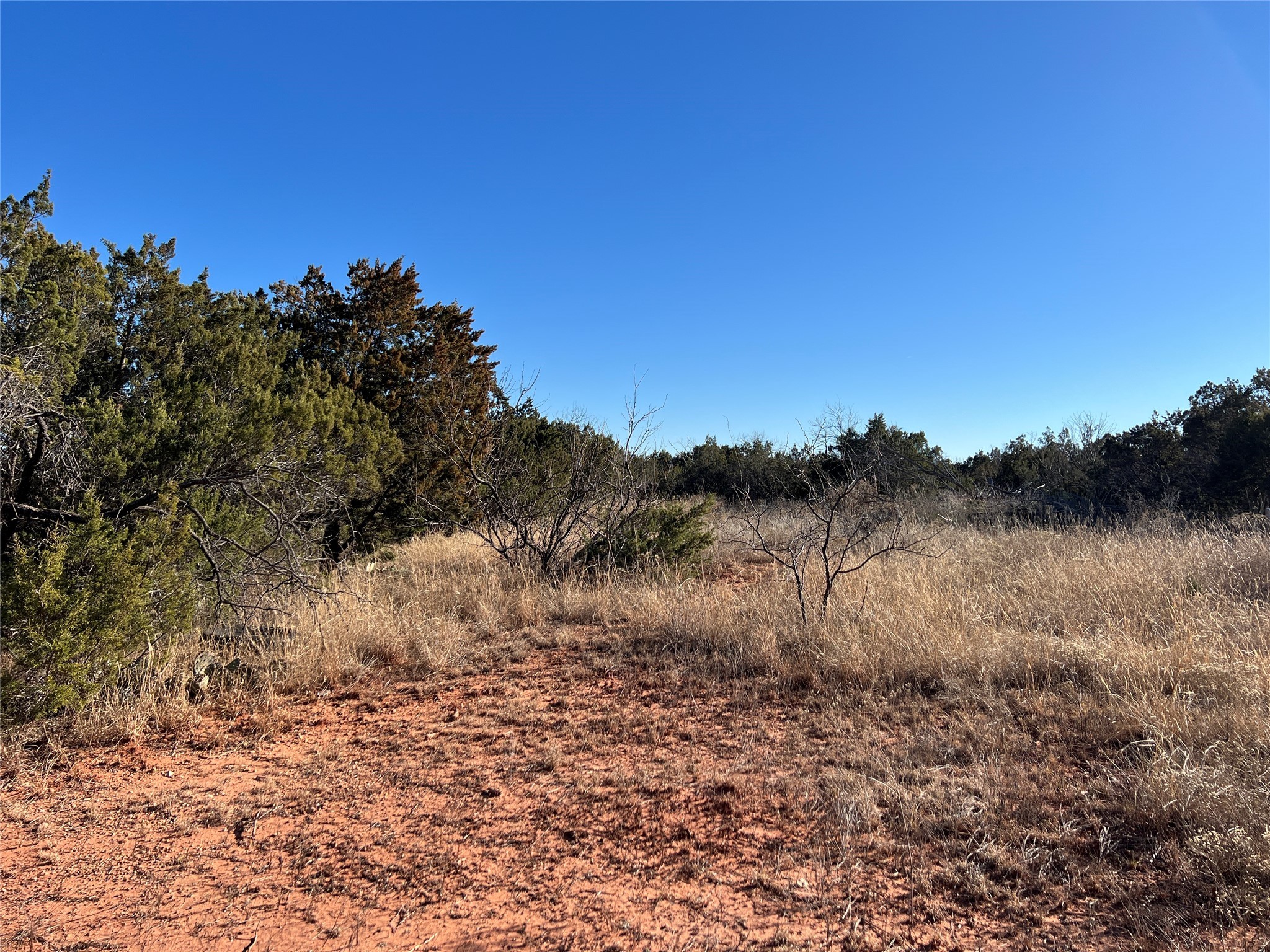 482 County Road 151