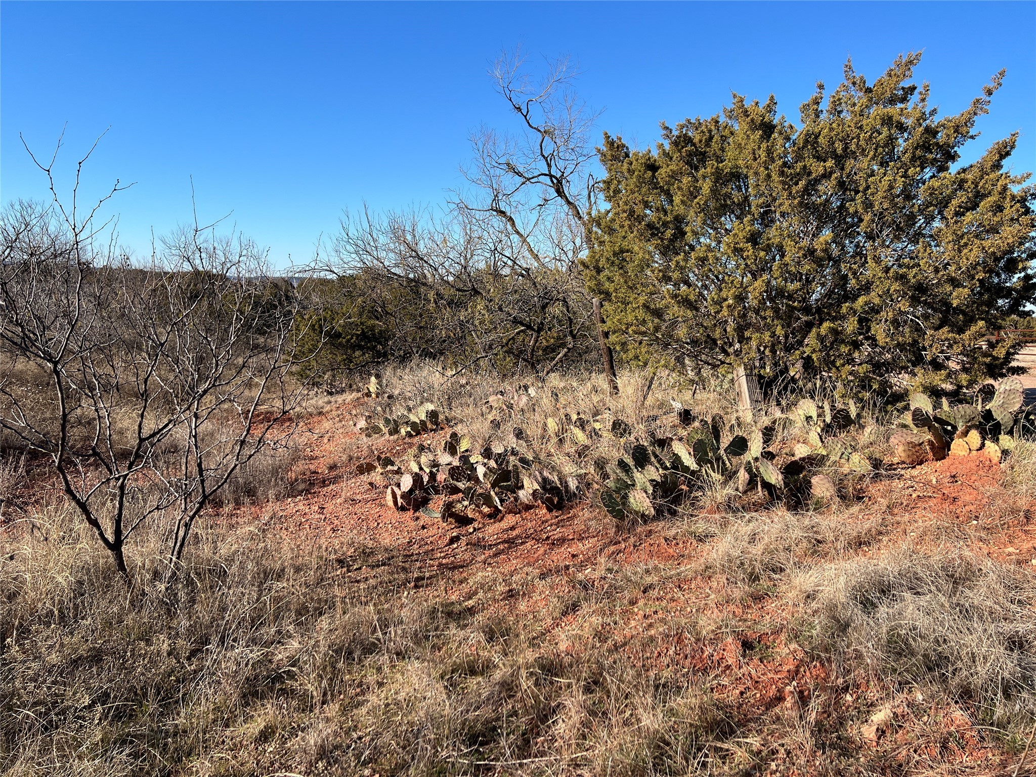 482 County Road 151