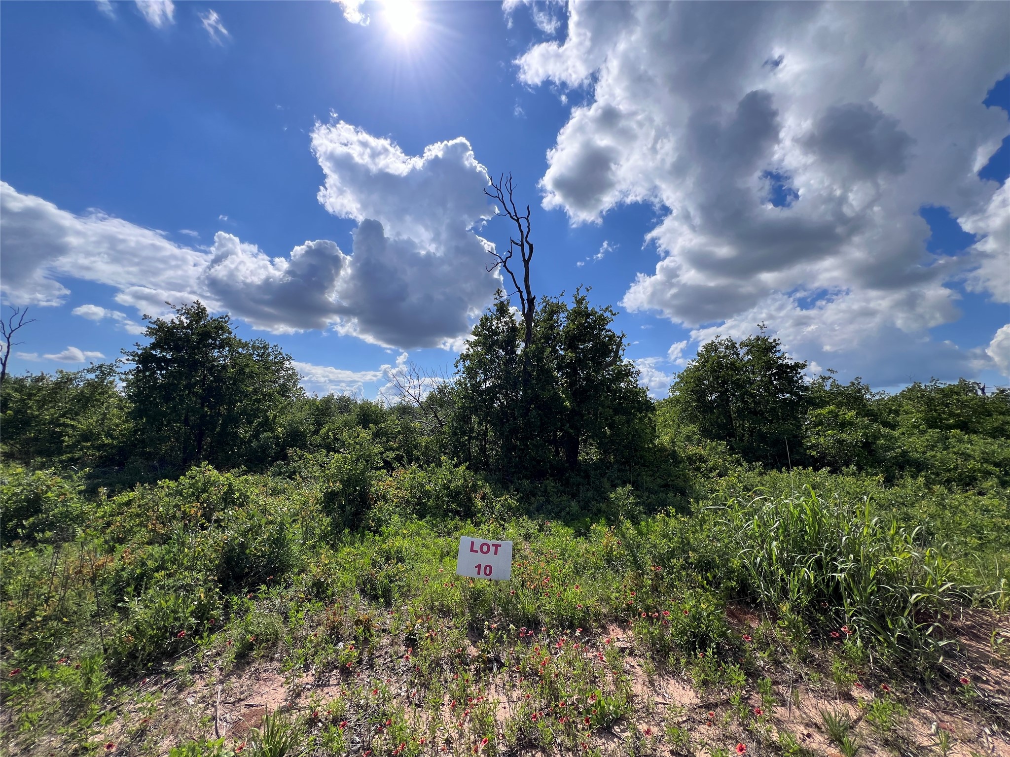 TBD Lot 10 Live Oak Trail