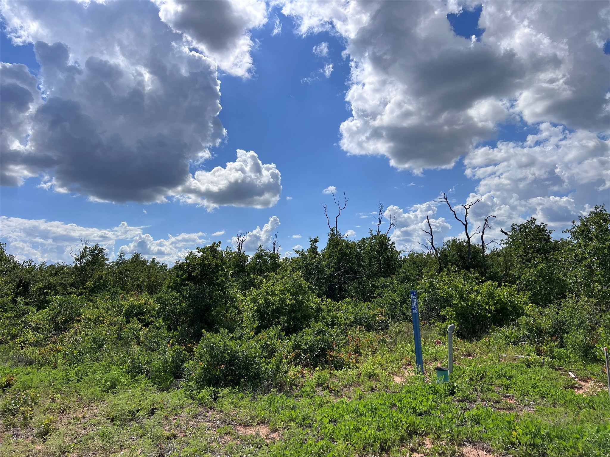 TBD Lot 10 Live Oak Trail