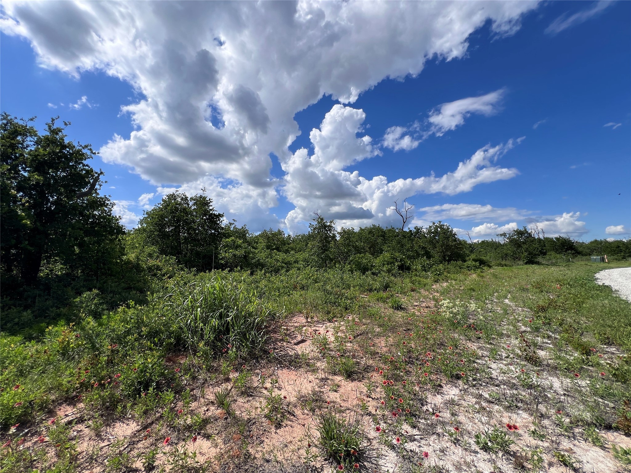 TBD Lot 10 Live Oak Trail