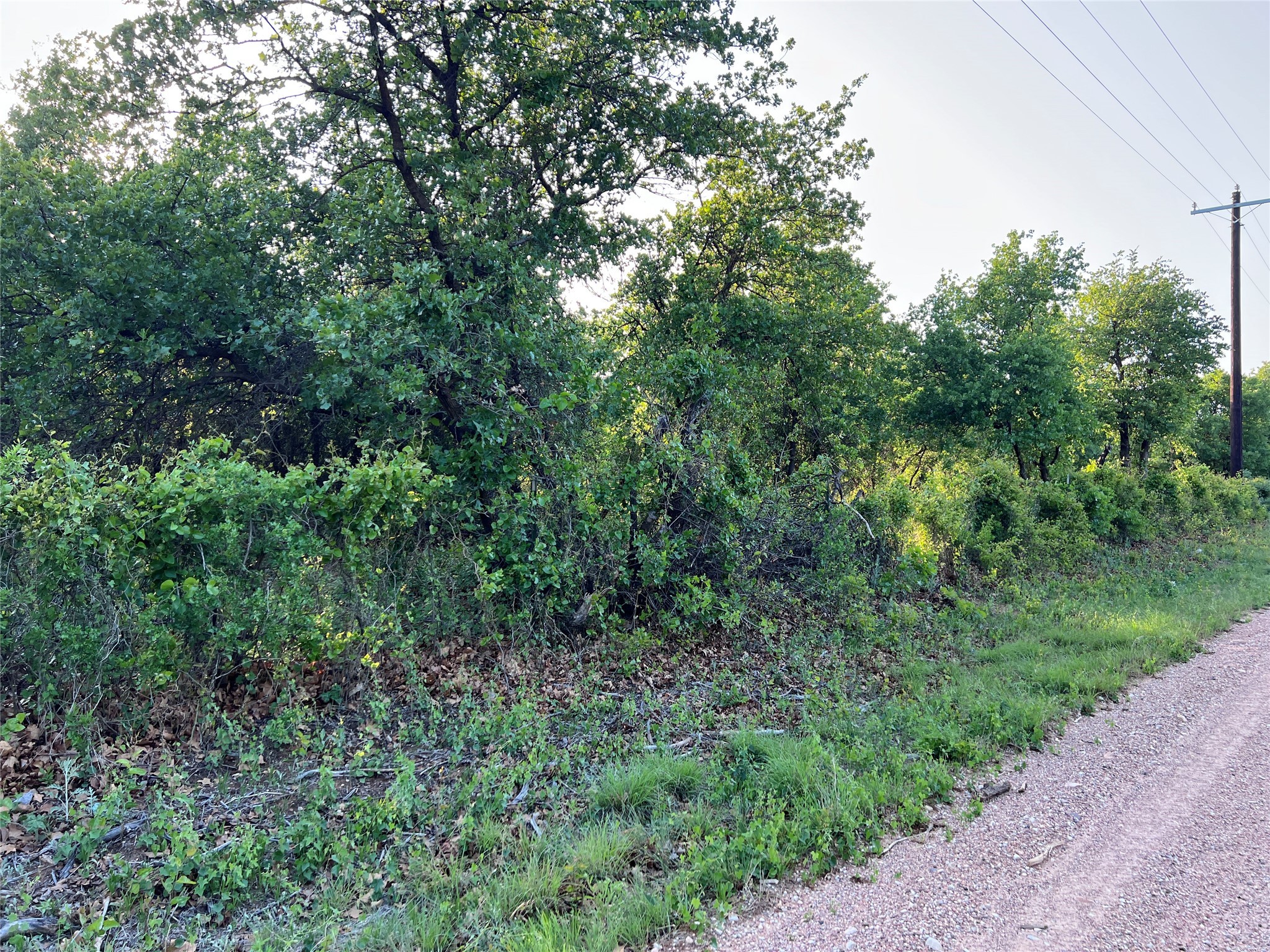 TBD County Road 335