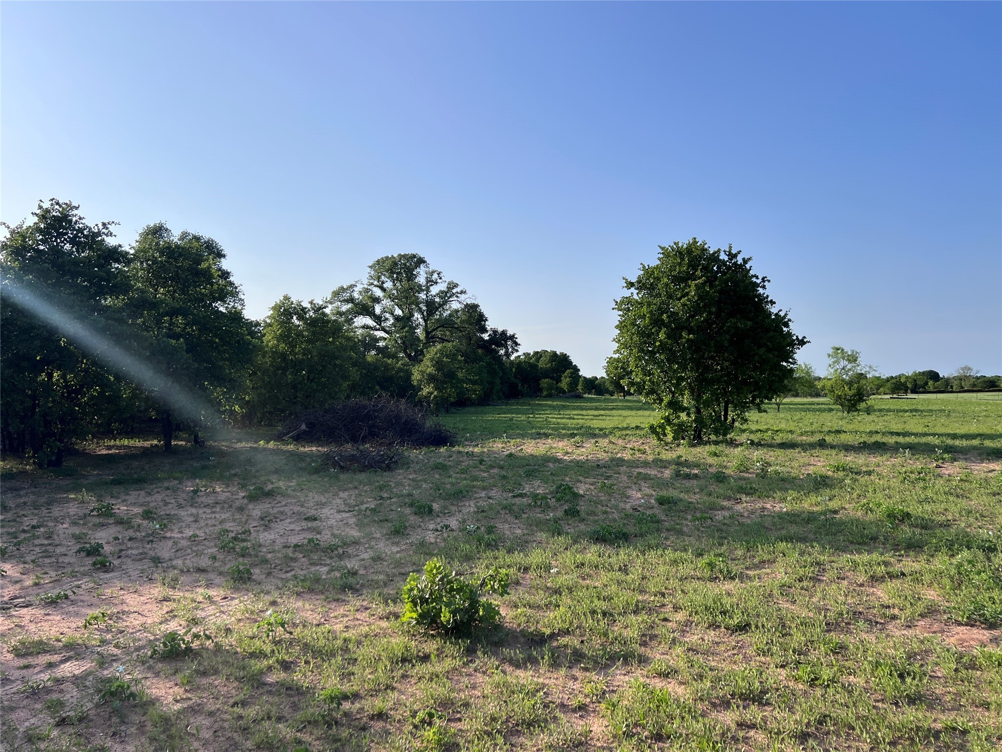 TBD County Road 335
