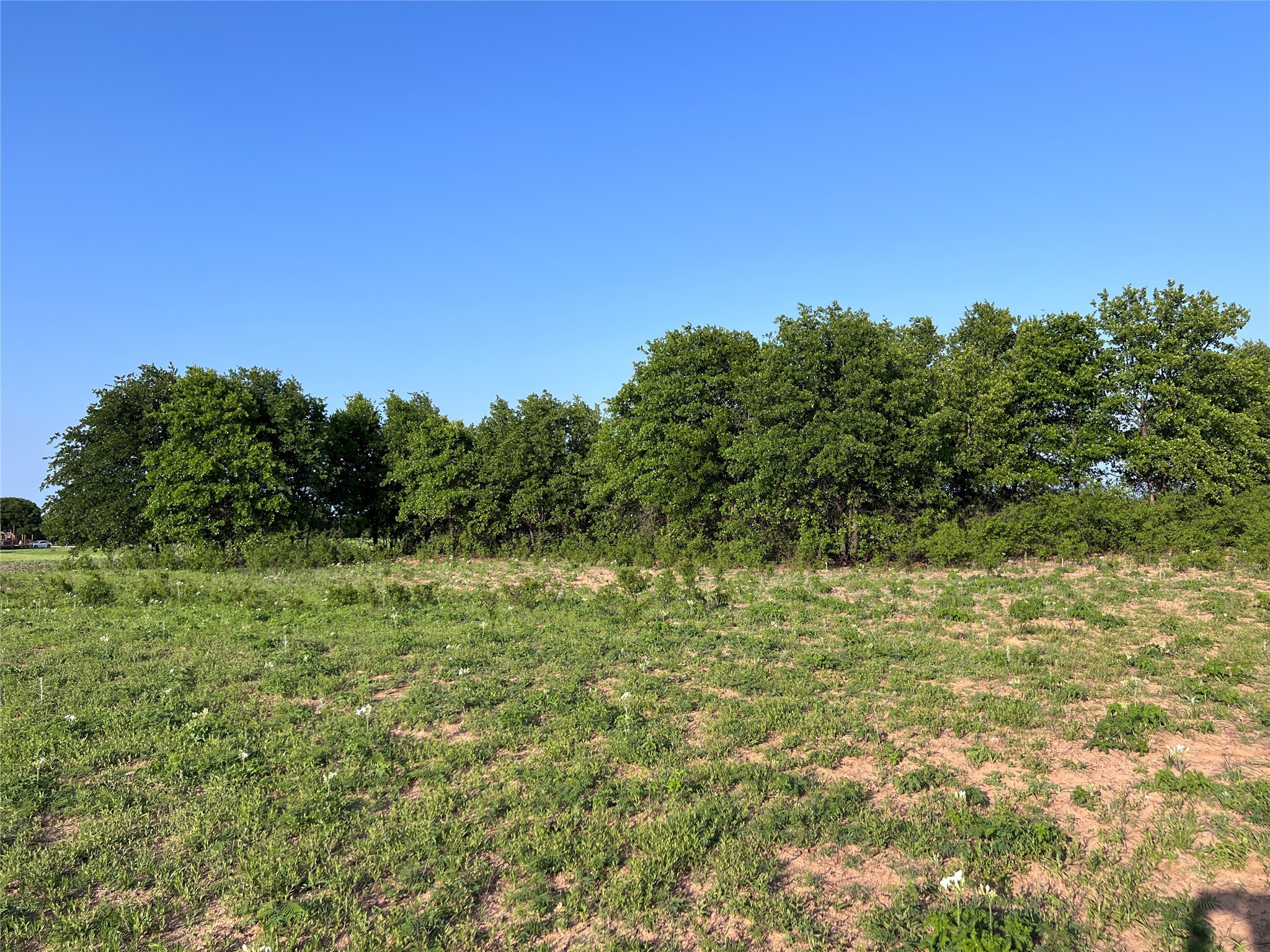 TBD County Road 335