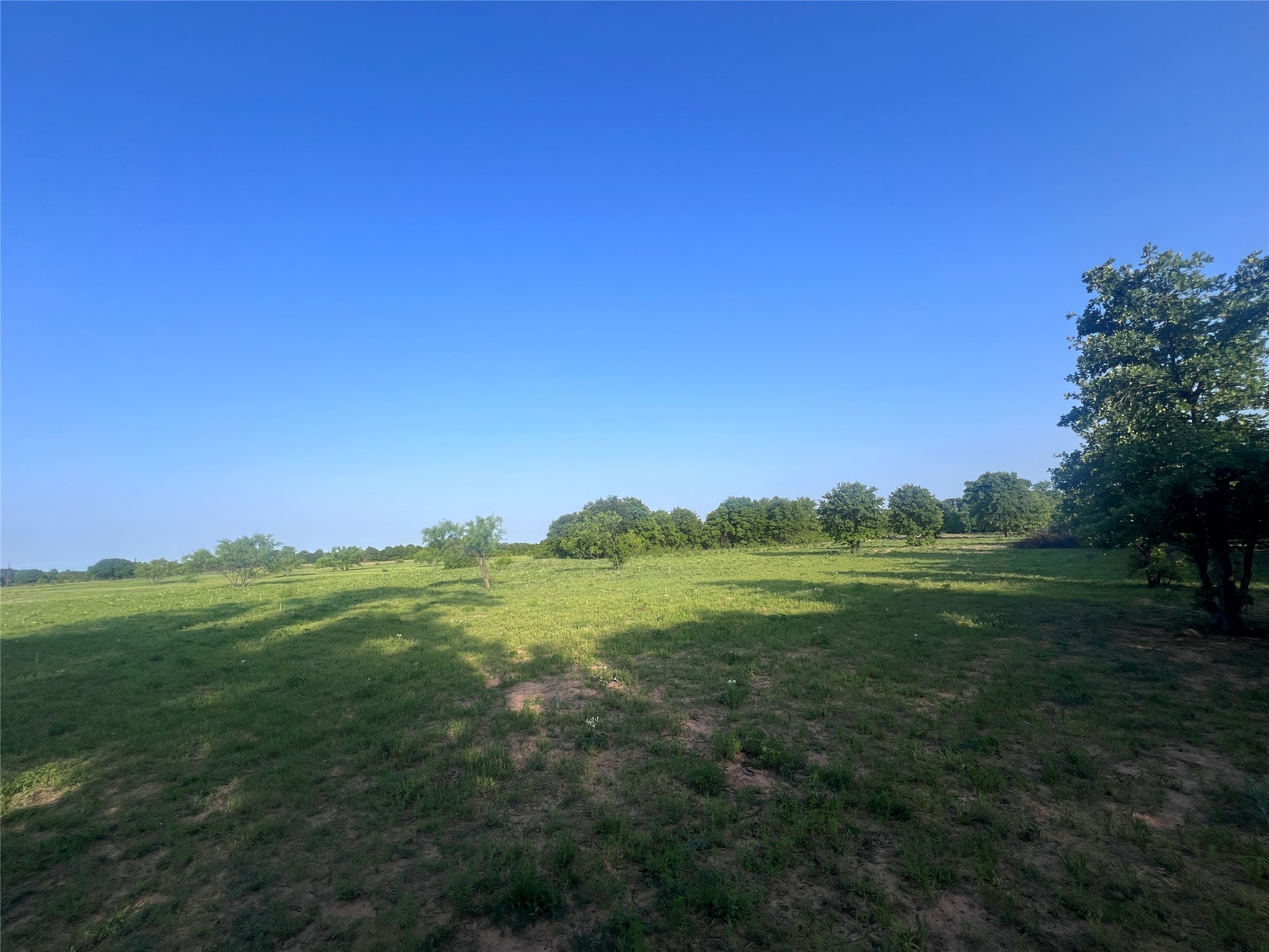 TBD County Road 335
