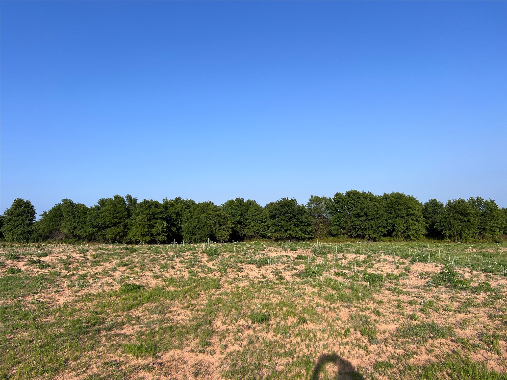 TBD County Road 335