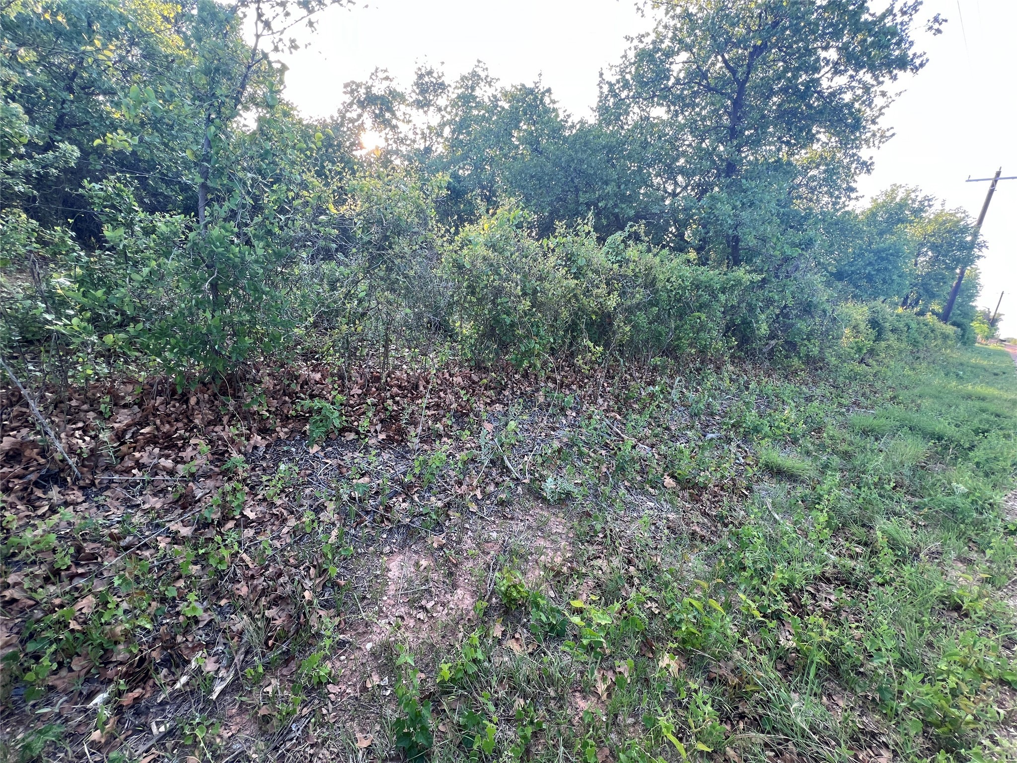 TBD County Road 335
