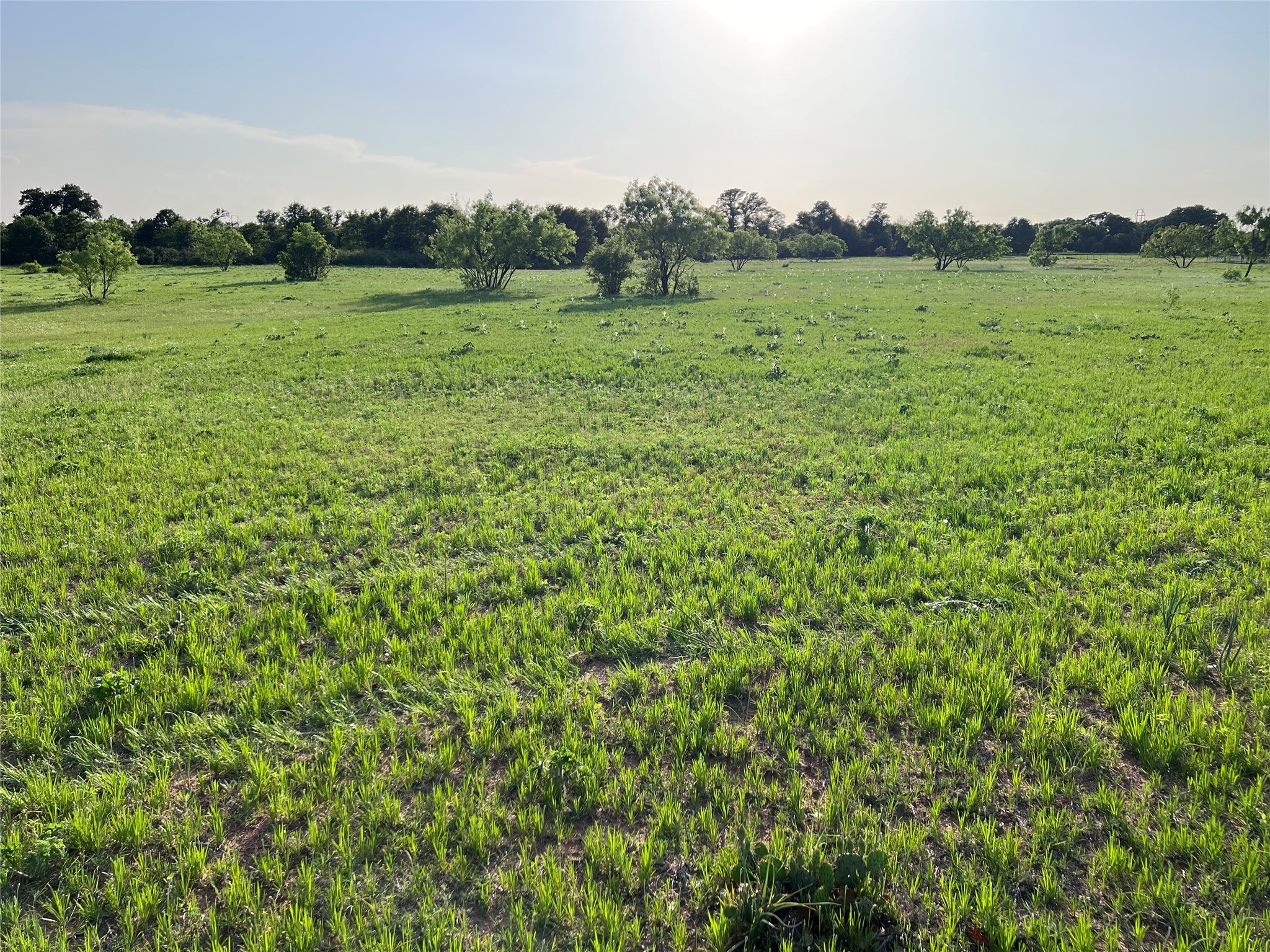 TBD County Road 335