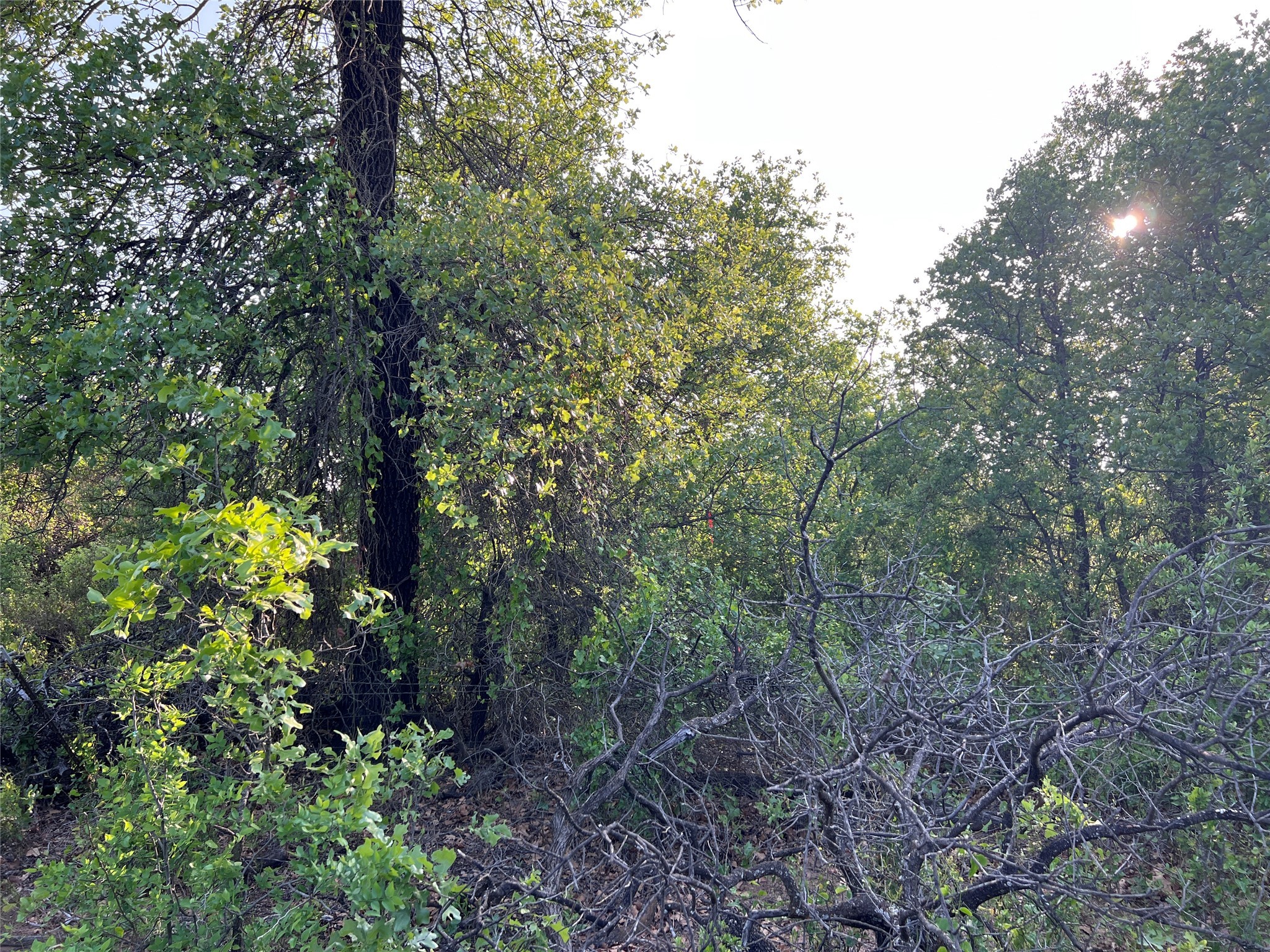 TBD County Road 335