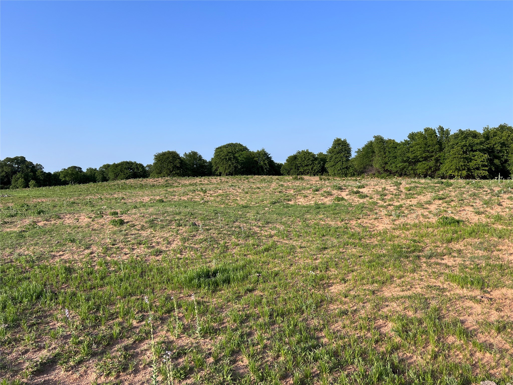 TBD County Road 335