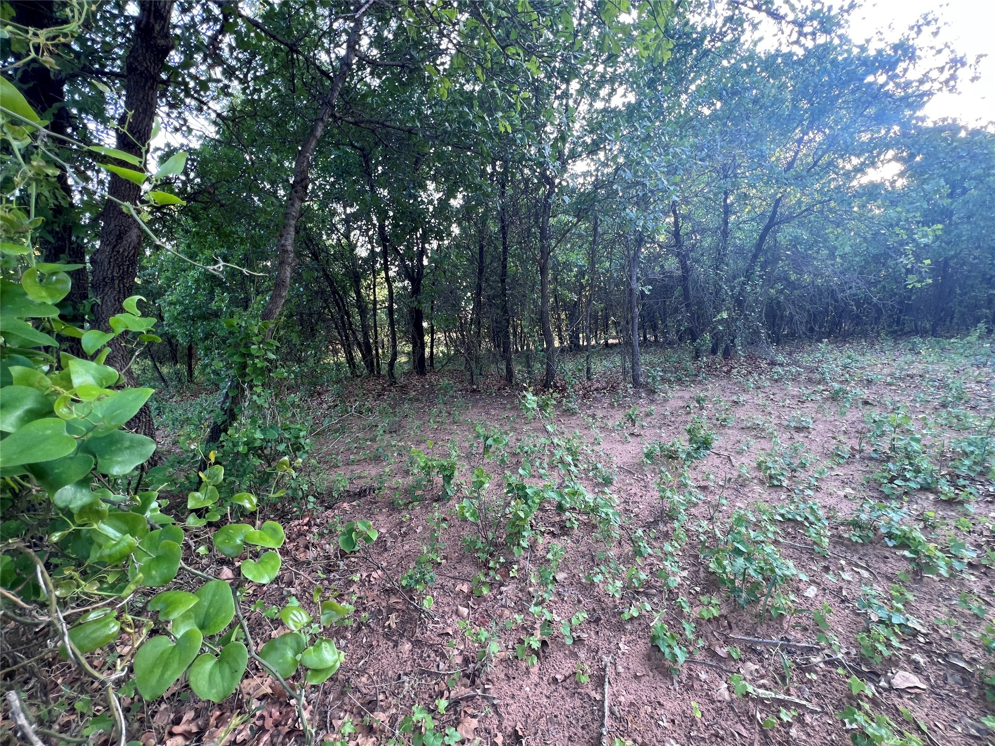 TBD County Road 335