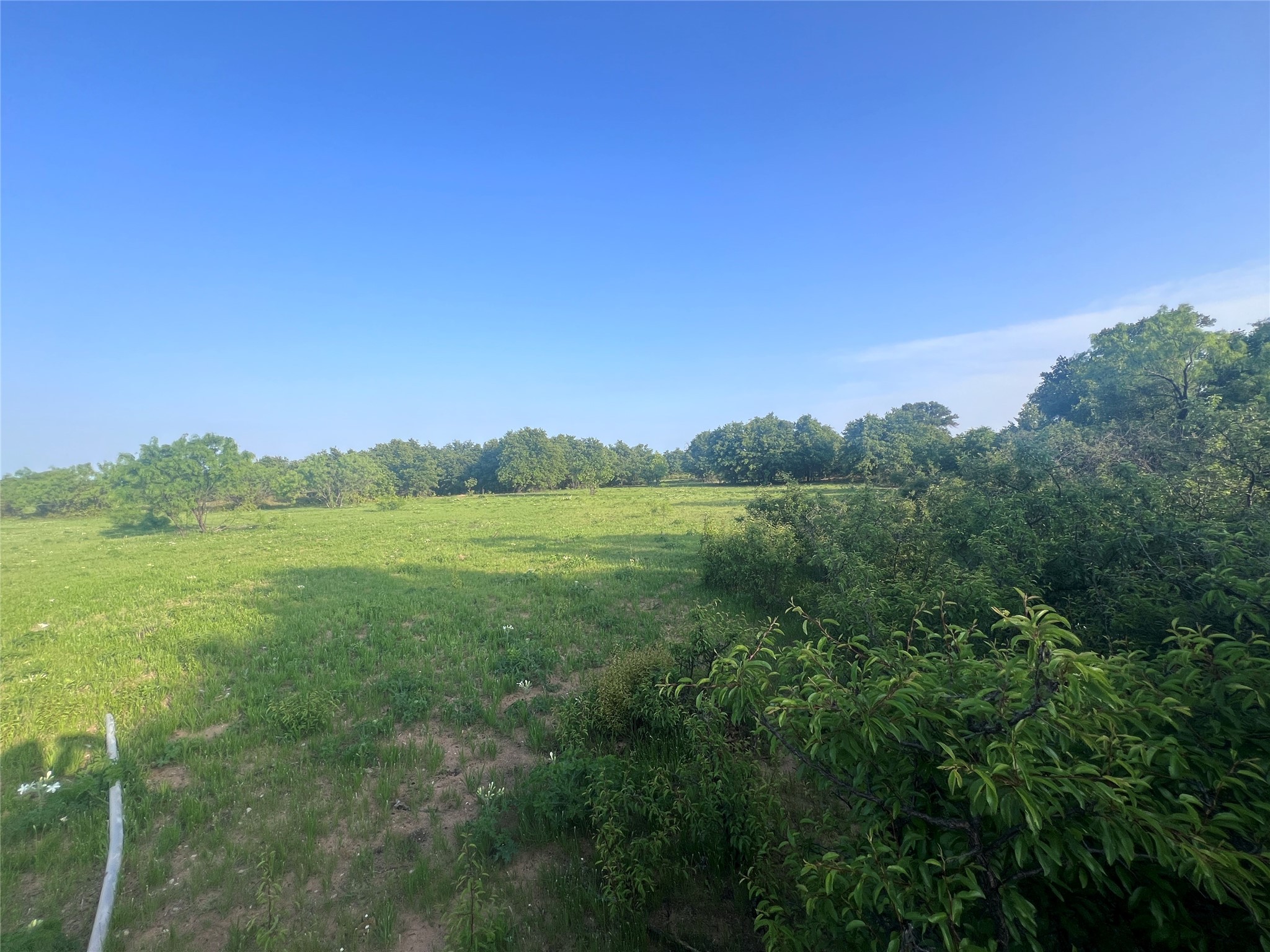 TBD County Road 335
