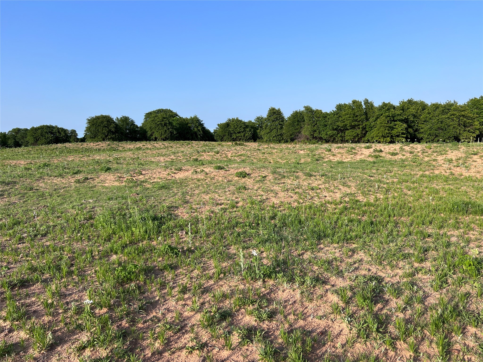 TBD County Road 335