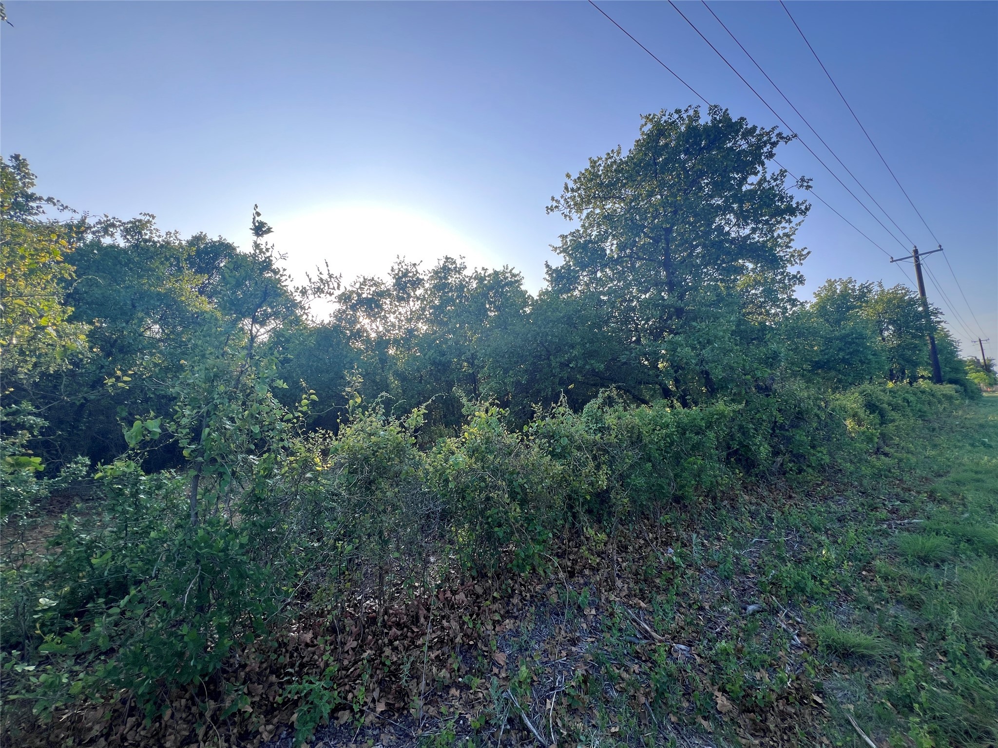 TBD County Road 335