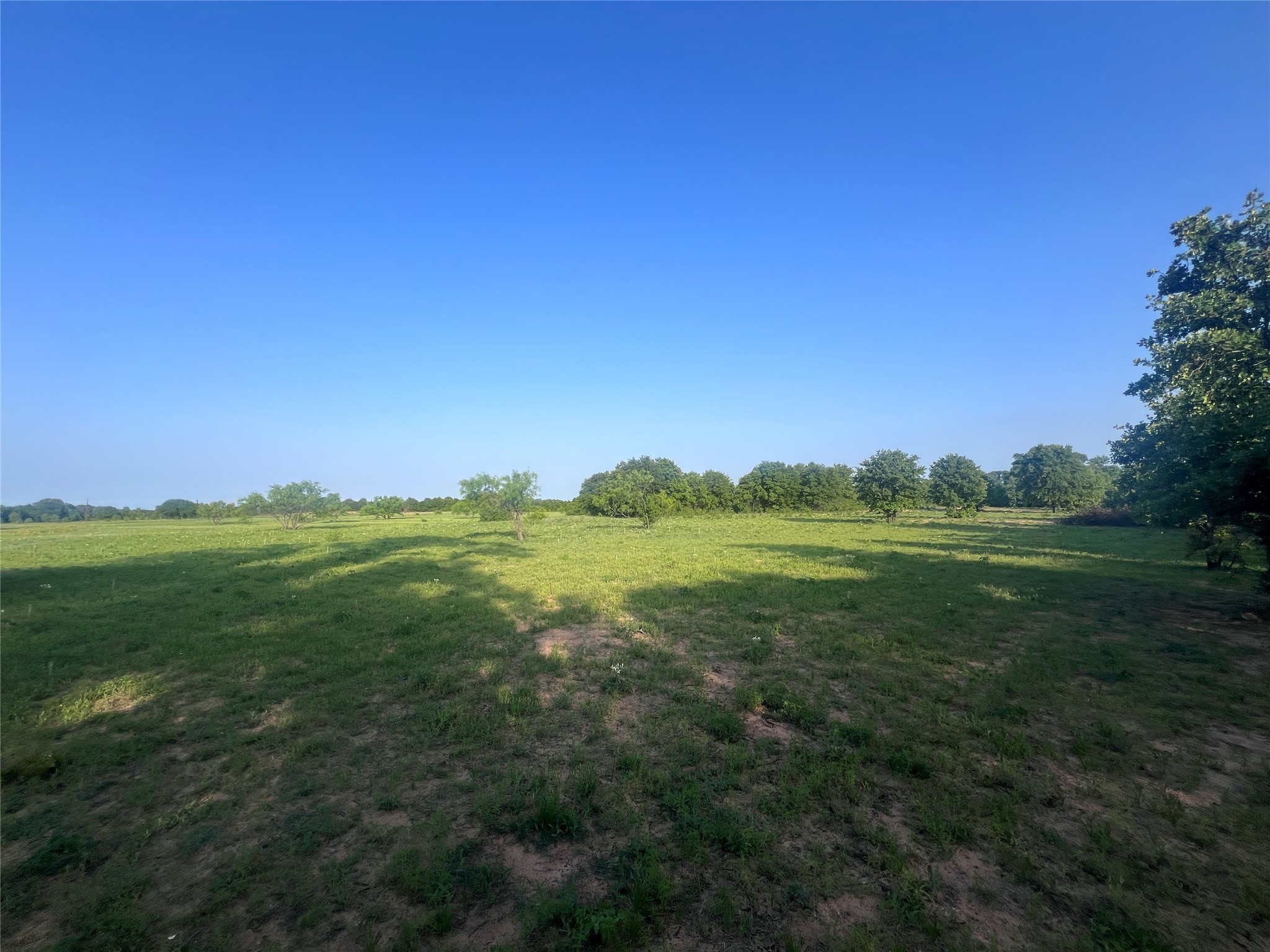 TBD County Road 335