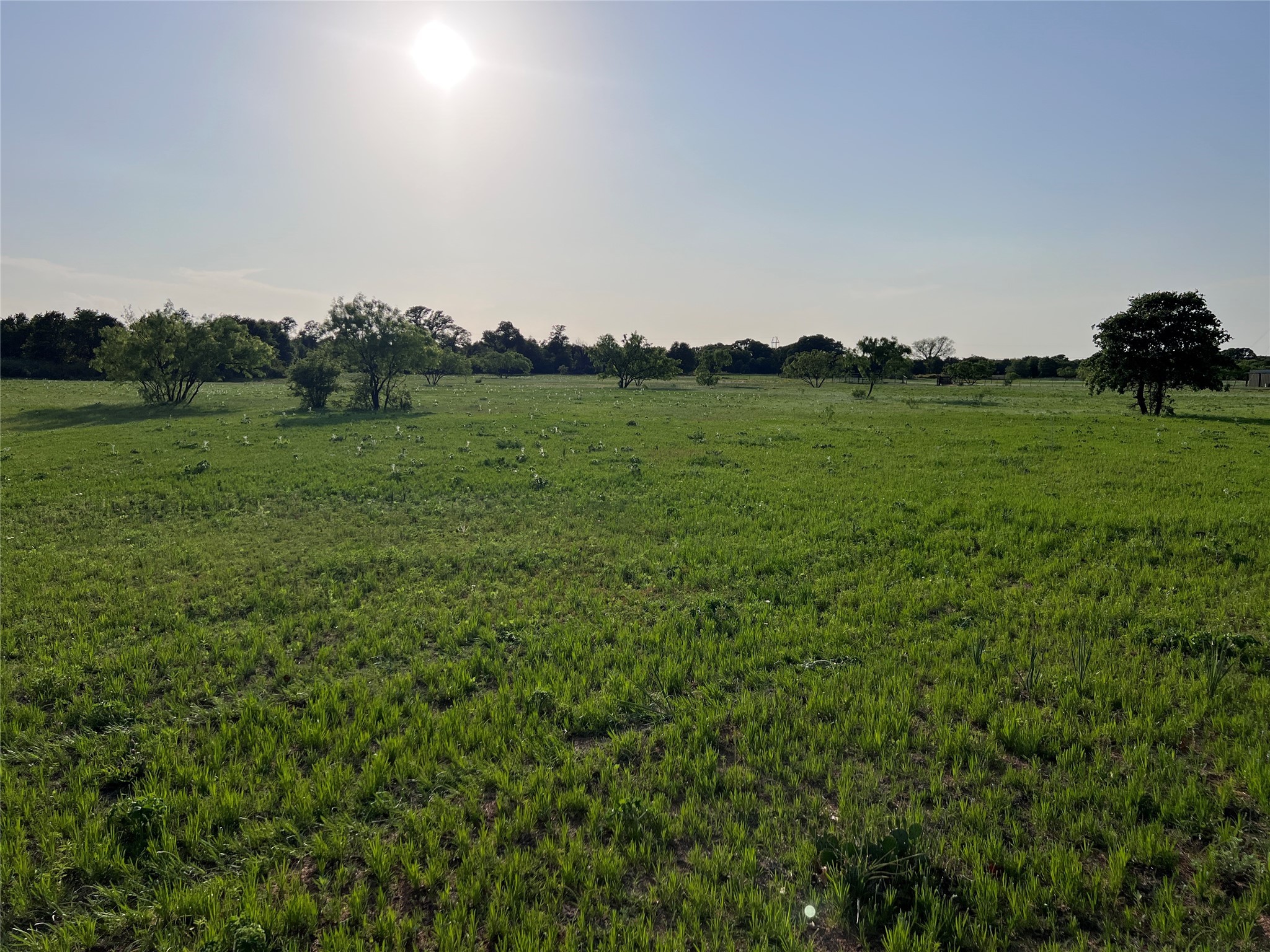 TBD County Road 335