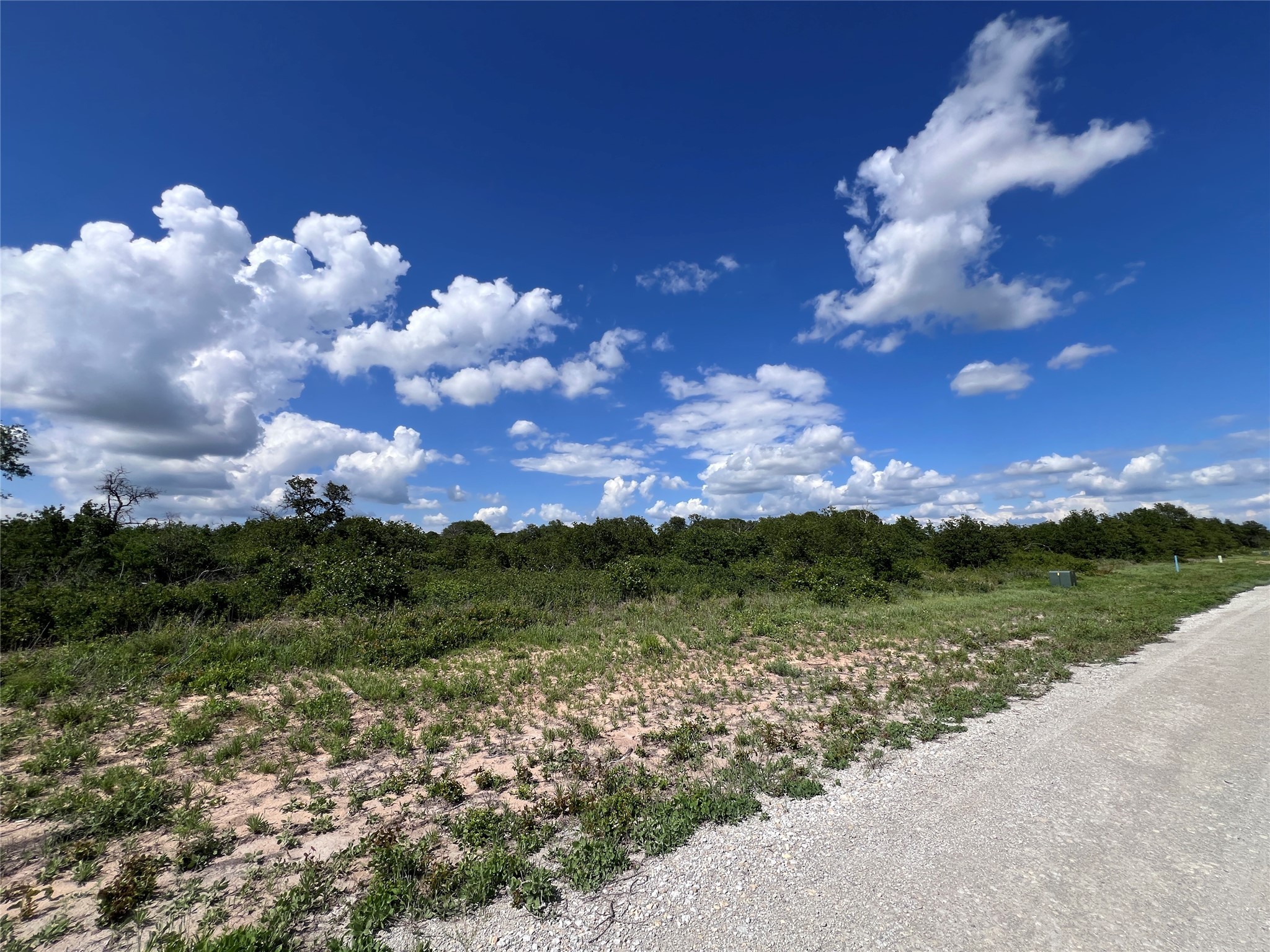 TBD Lot 8 Live Oak Trail