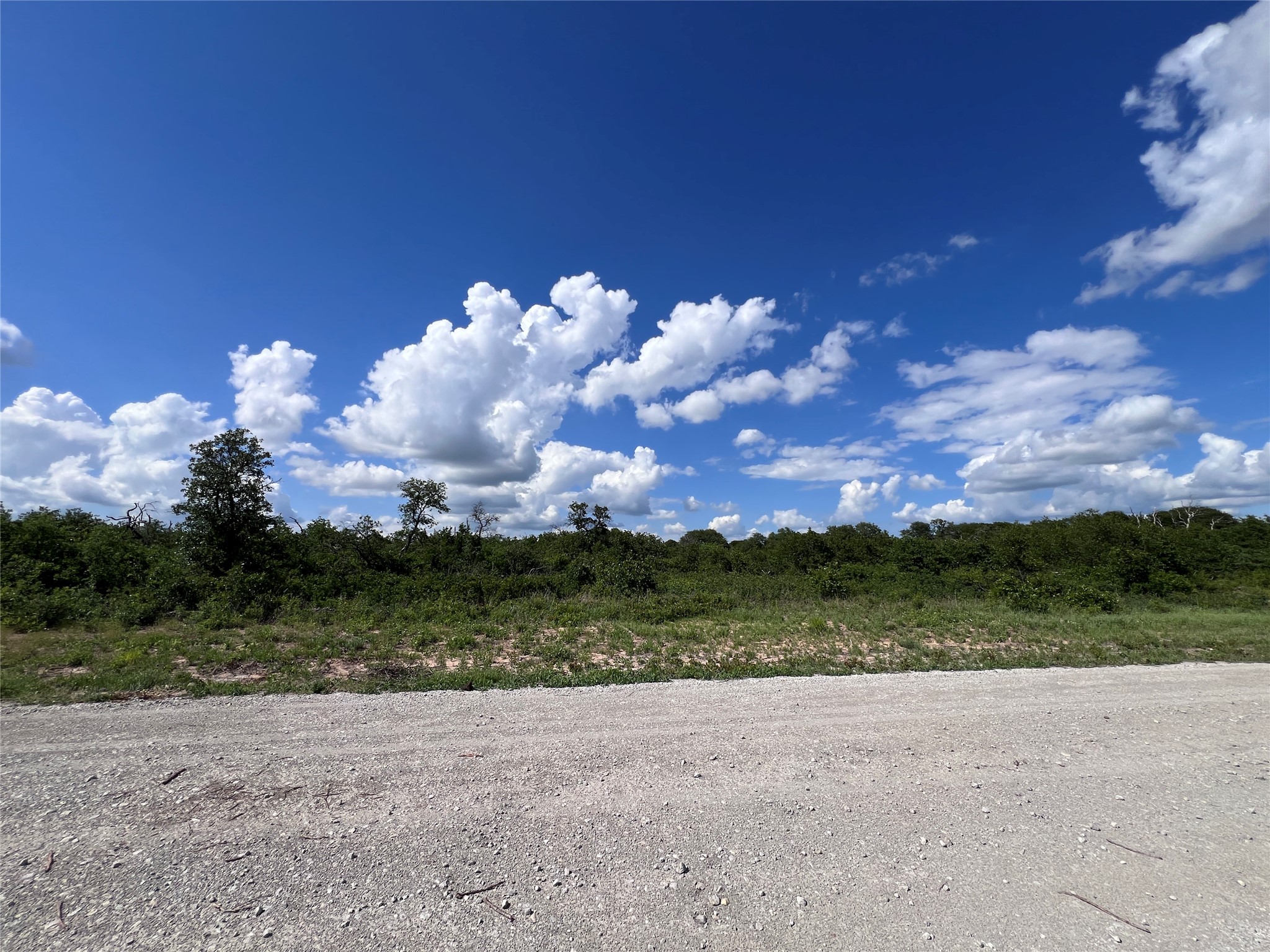 TBD Lot 8 Live Oak Trail