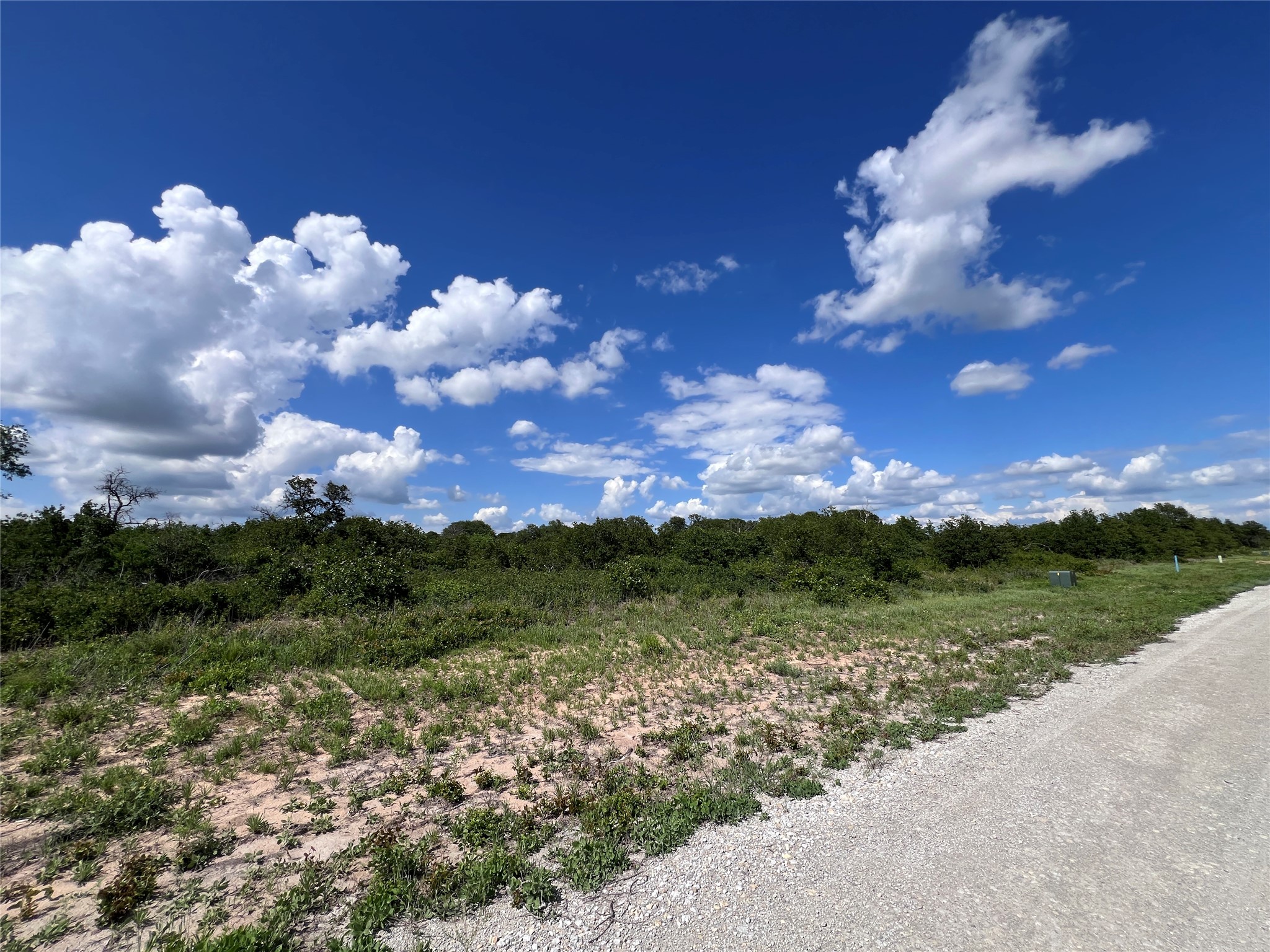 TBD Lot 8 Live Oak Trail