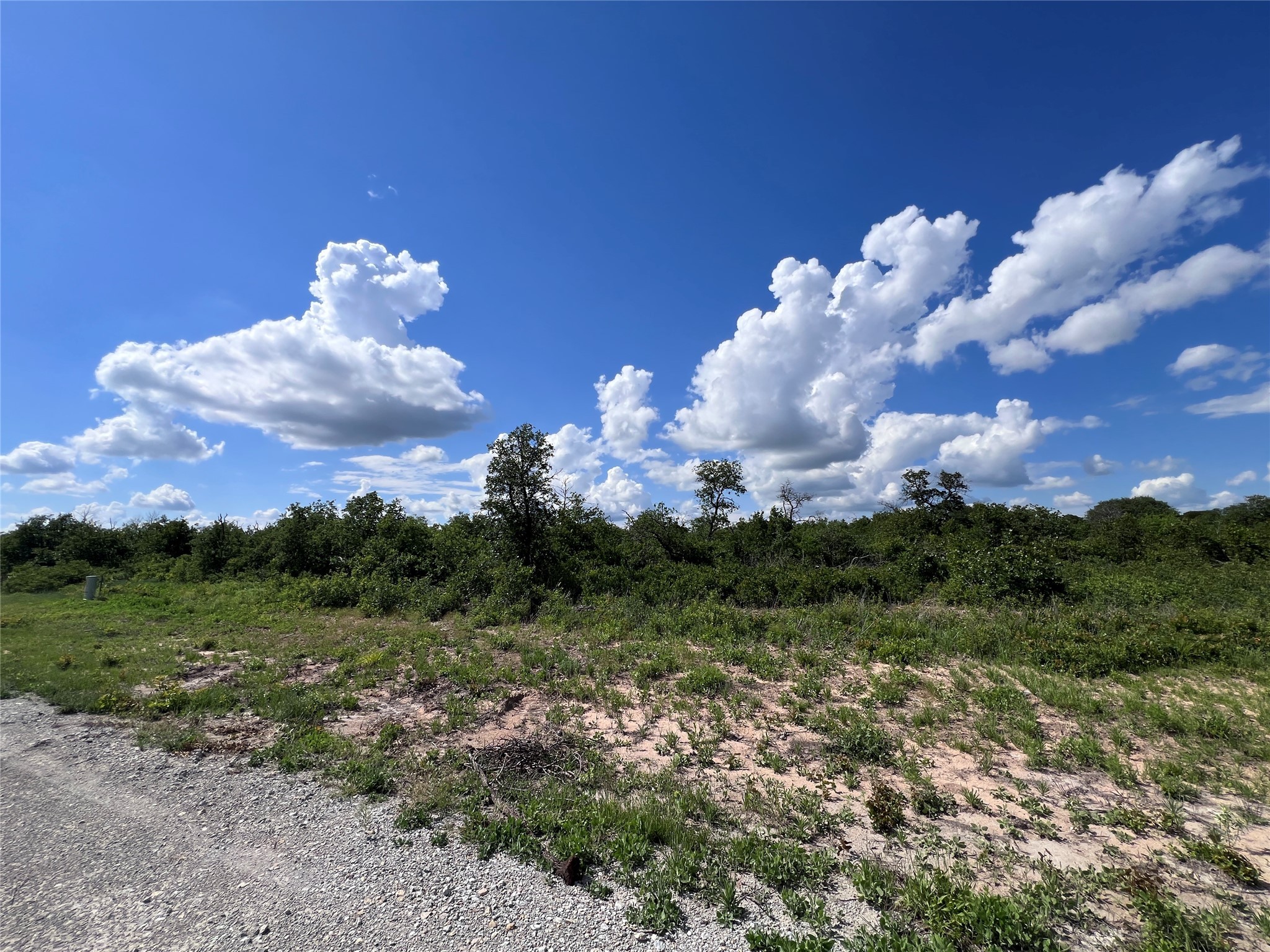 TBD Lot 8 Live Oak Trail