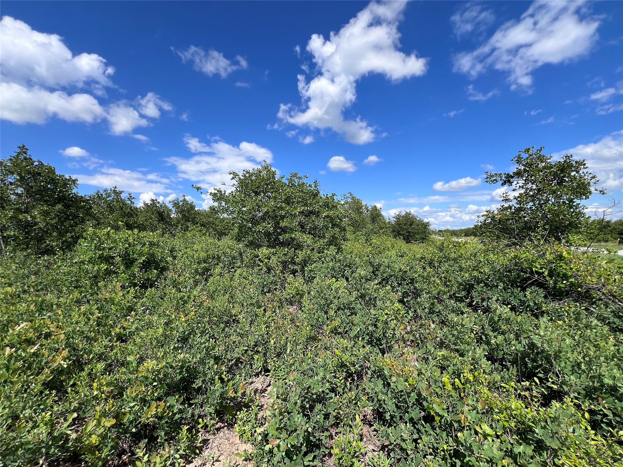 TBD Lot 9 Live Oak Trail