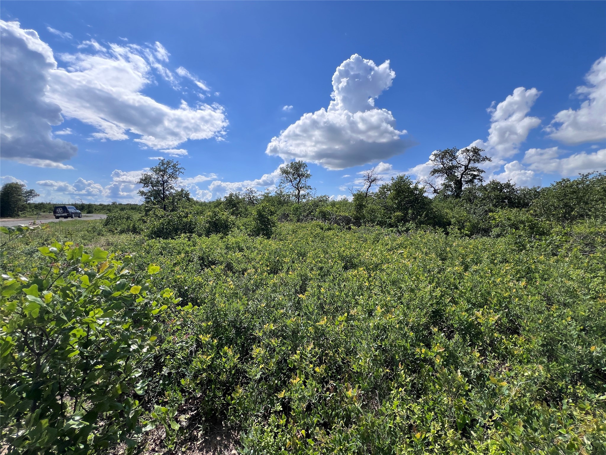 TBD Lot 9 Live Oak Trail