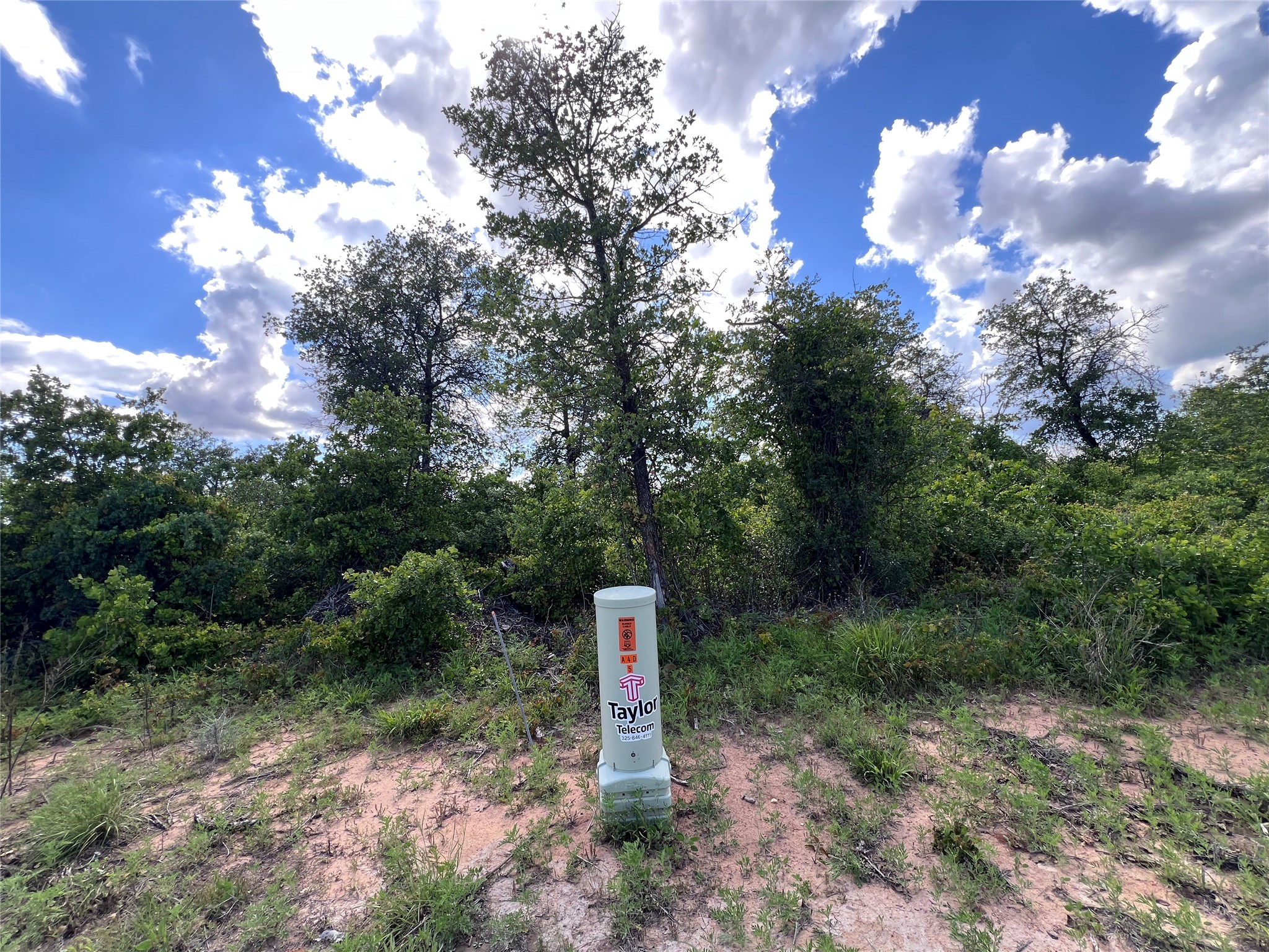 TBD LOT 12 Live Oak Trail