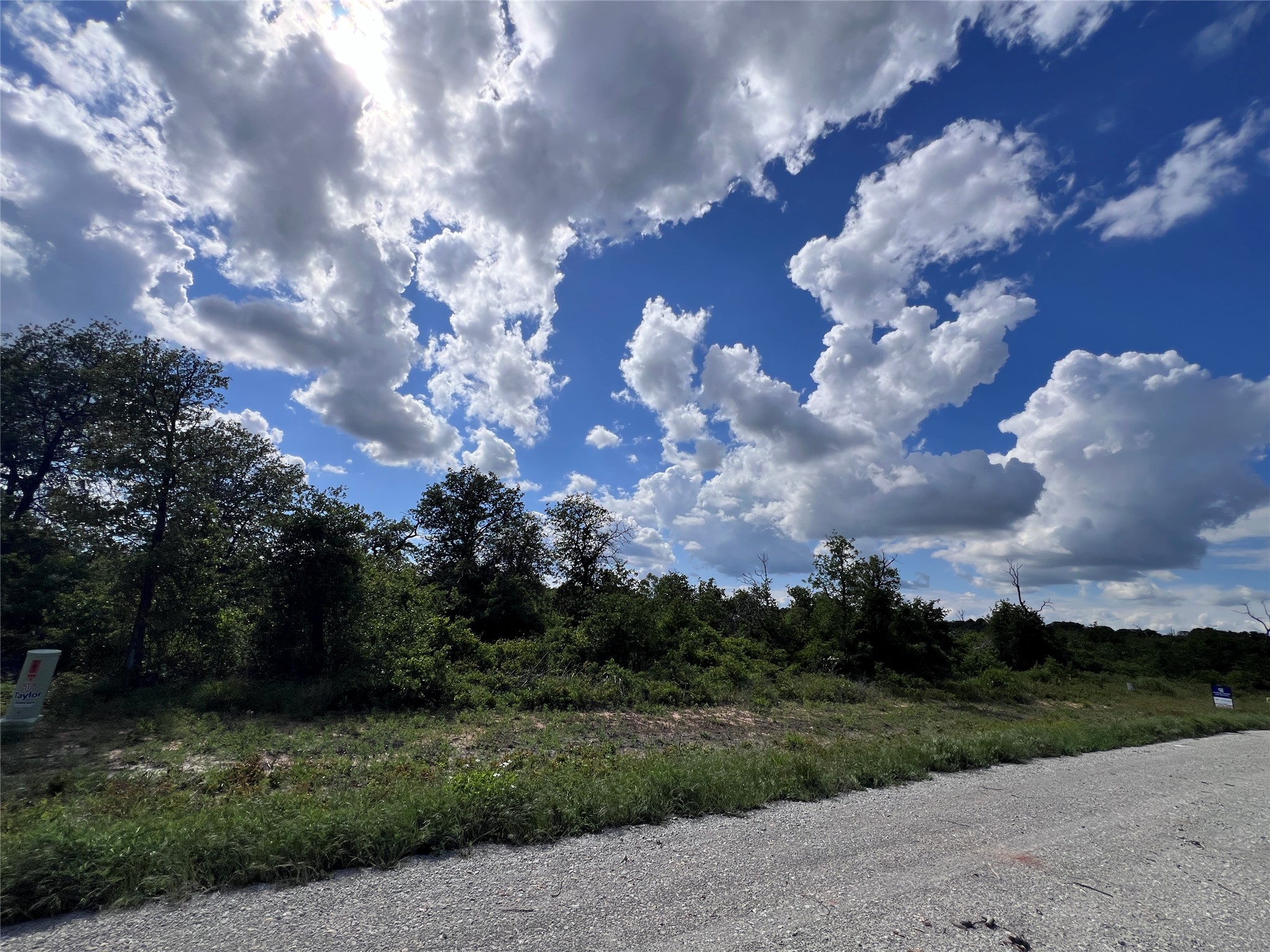 TBD LOT 12 Live Oak Trail